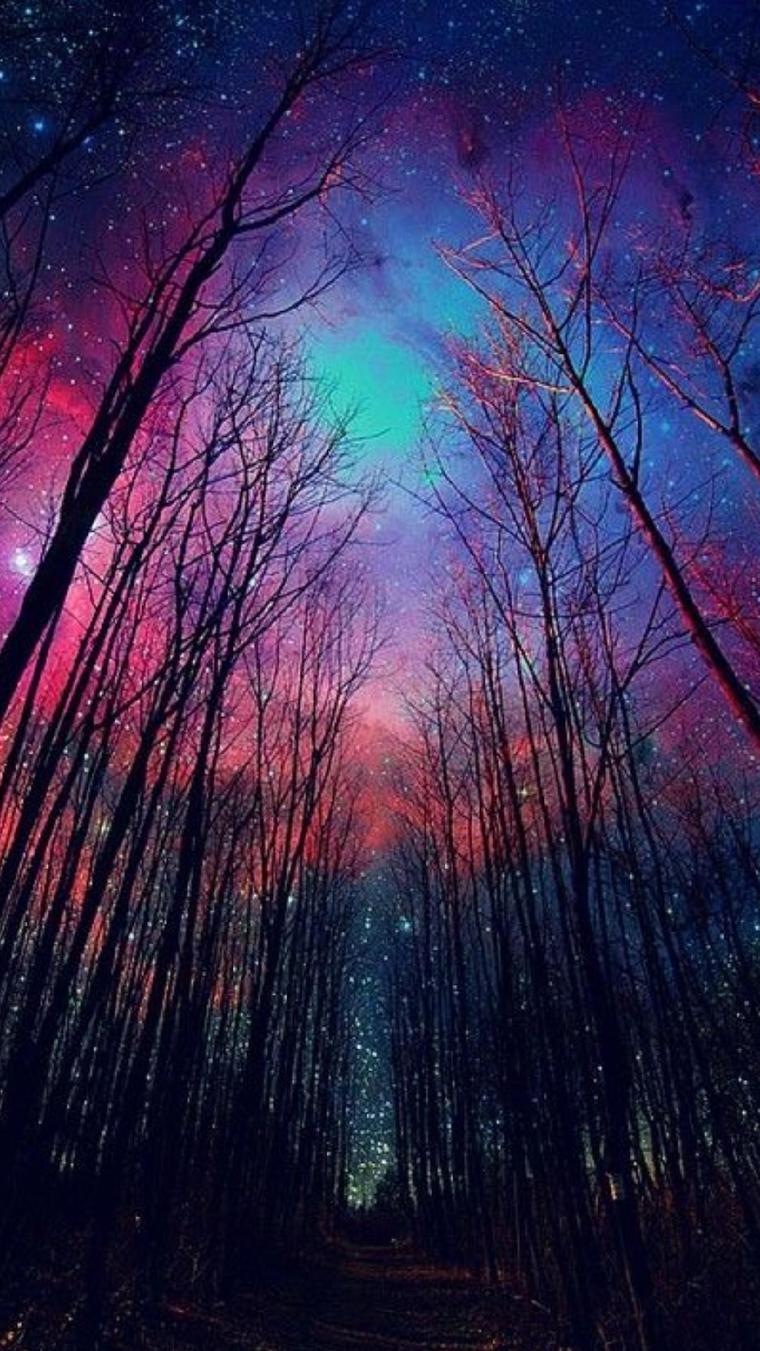 Foresta notturna con aurora colorata, 1080x1920 Full HD Verticale, iPhone