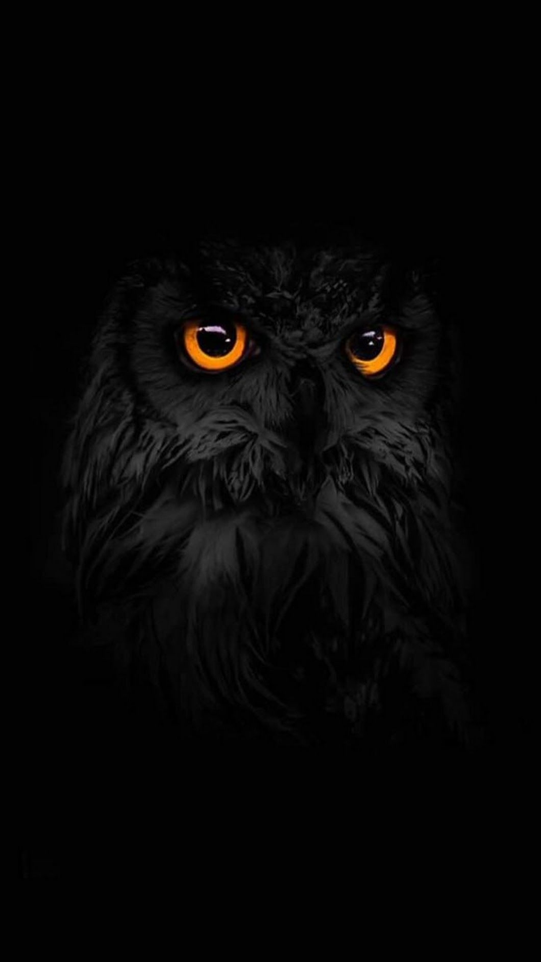 Gufo scuro occhi arancioni, 1080x1920 Verticale, Samsung Galaxy