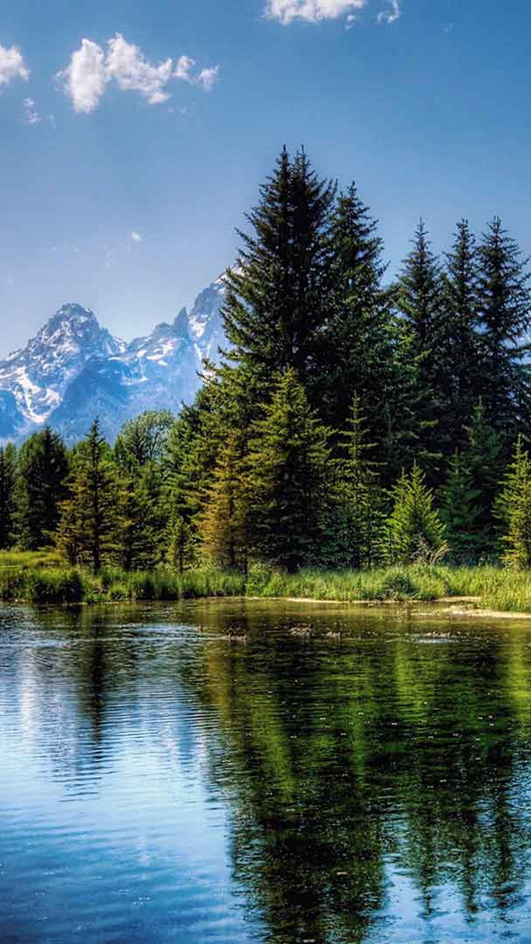 Montagne lago pini natura, 1080x1920 Full HD Verticale, iPhone