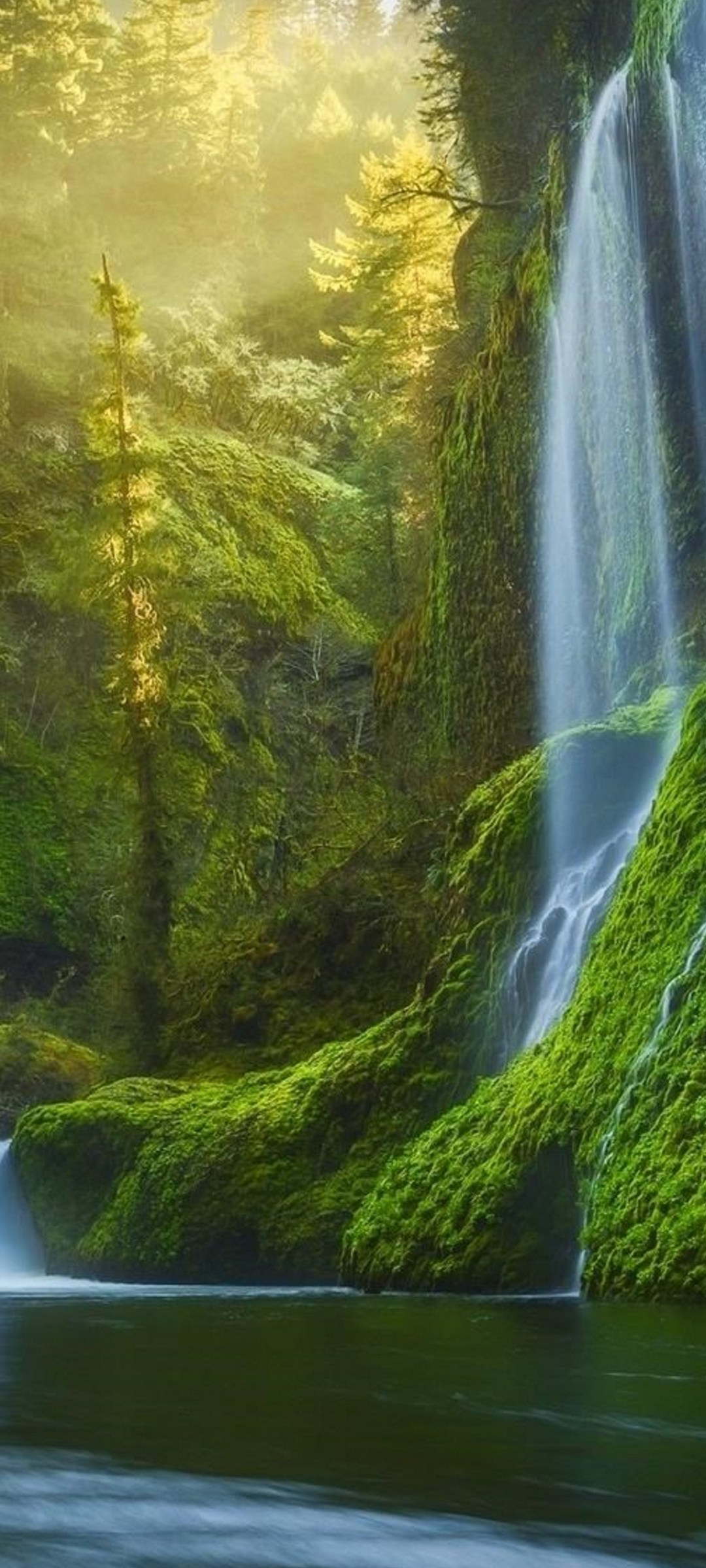 cascata foresta verde muschio, 1080x2400 Full HD Verticale, iPhone