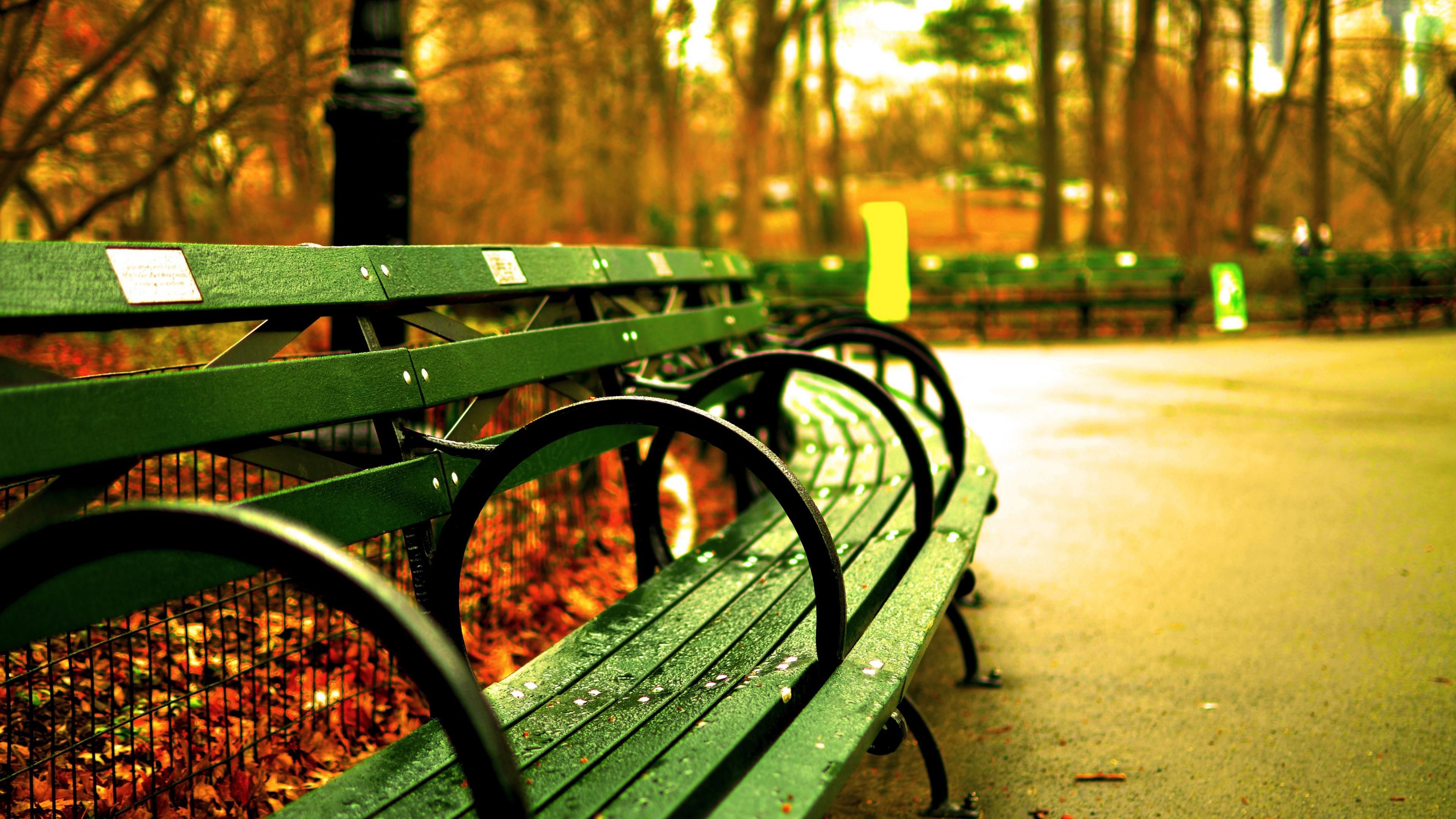 Panchine verdi Central Park, 3840x2160 4K, Desktop 4K