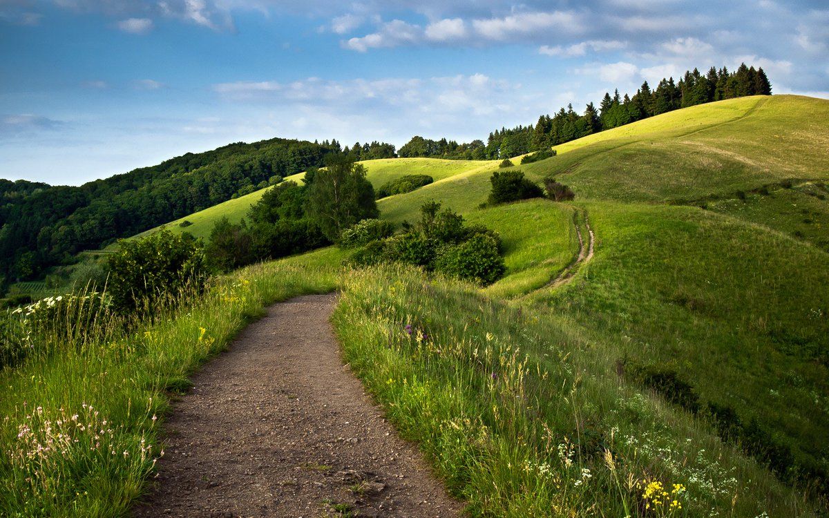 Sentiero tra colline verdi, 1200x750 HD, PC