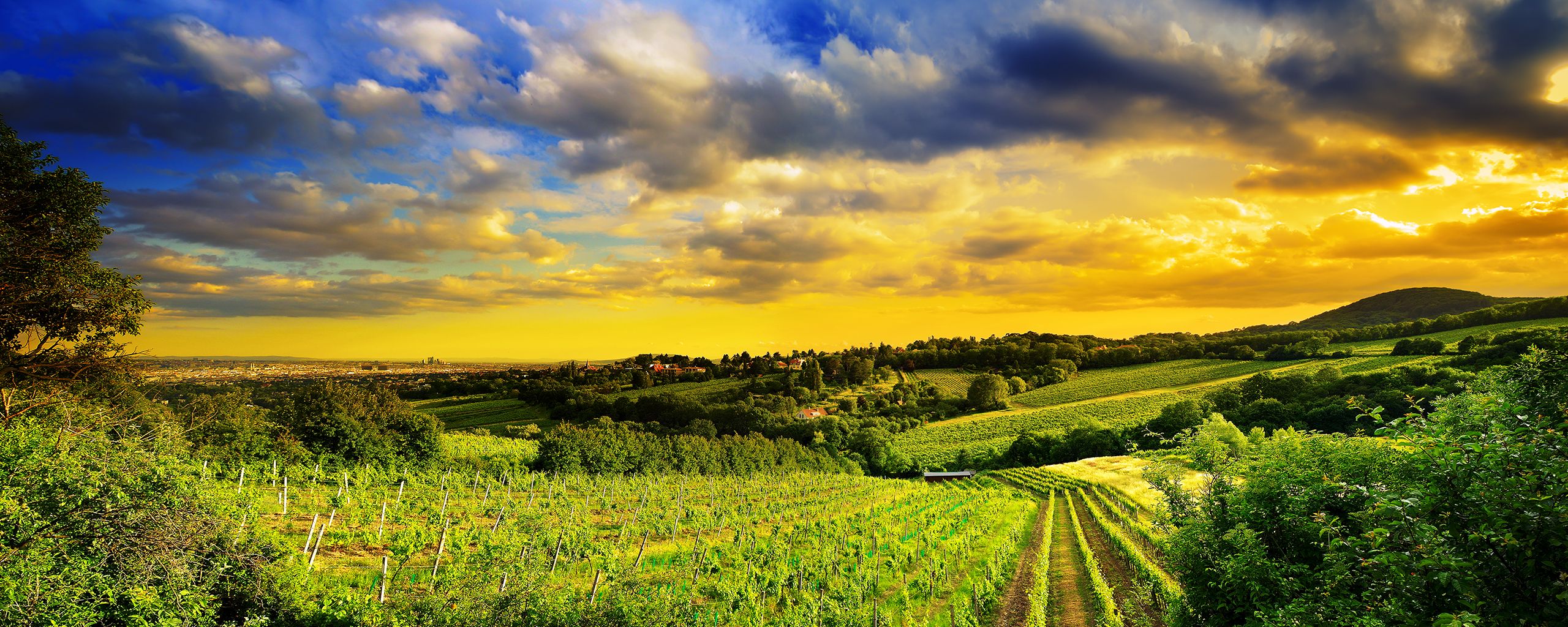 Paesaggio collinare al tramonto, 2560x1024 Panoramico, Dual Screen