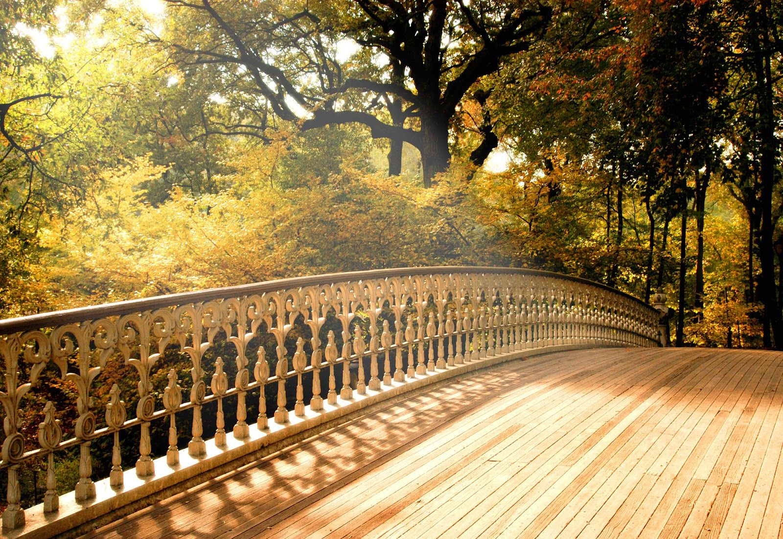 Ponte in legno nel parco, 1600x1101 HD, Desktop