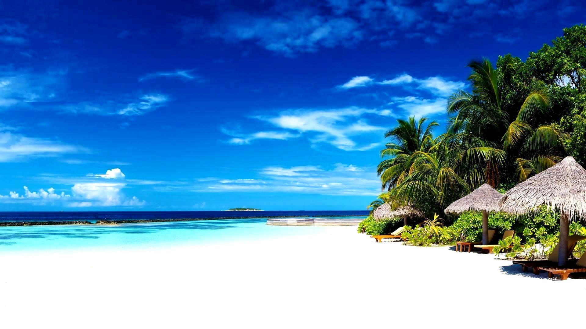Spiaggia tropicale con palme, 1920x1080 Full HD 1080p, Laptop