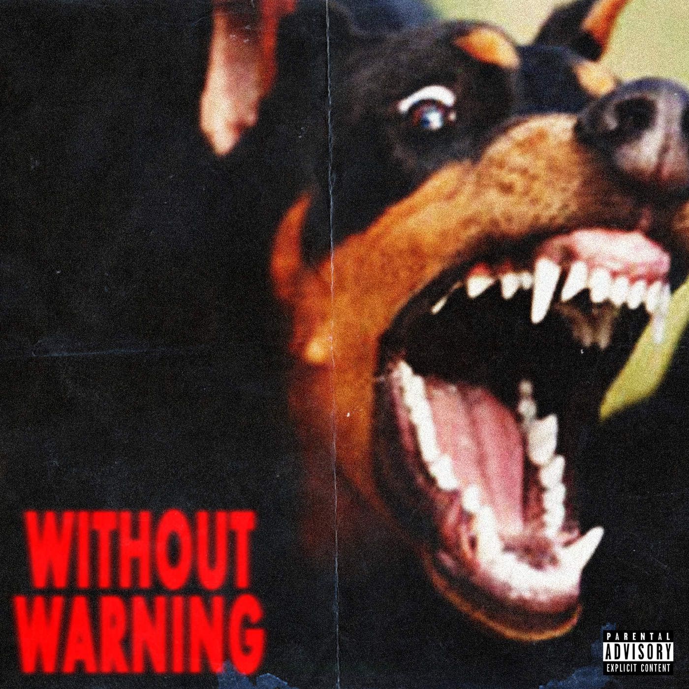Doberman ringhiante copertina album, 1400x1400 HD, Desktop