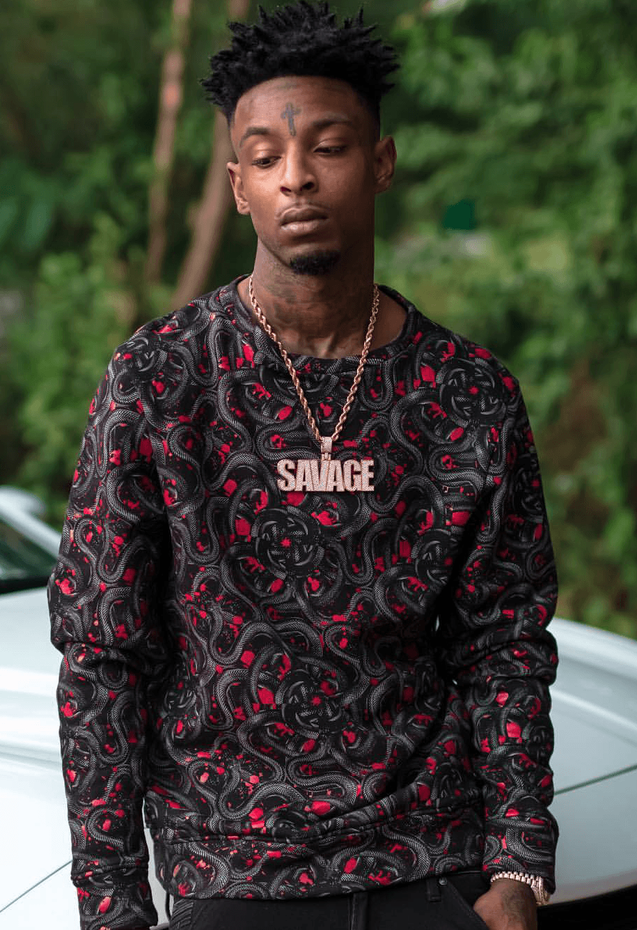 21 Savage ritratto rapper, 5217x2608 4K, Desktop 4K