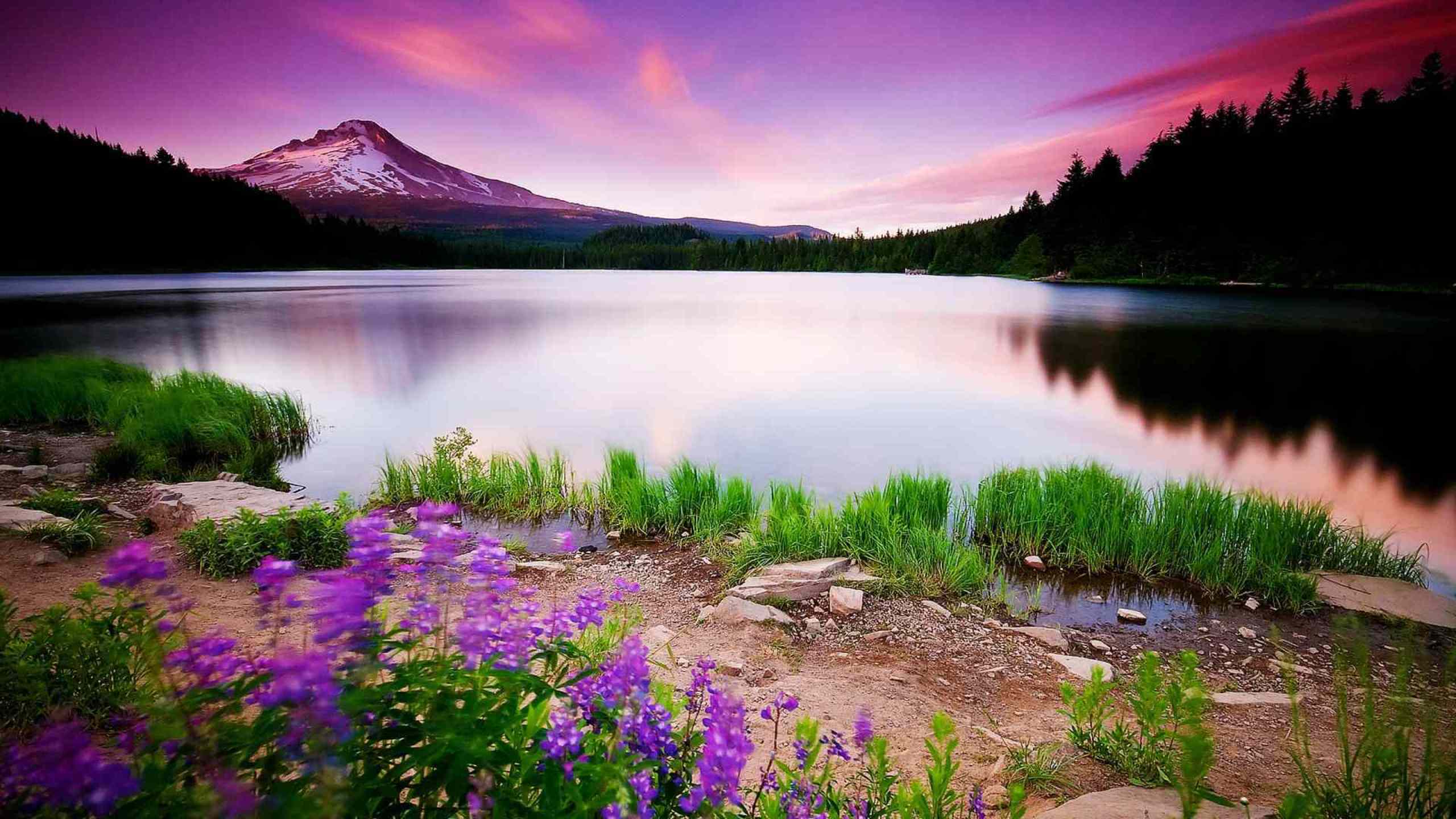 Lago montagna tramonto viola, 2560x1440 2K QHD, PC