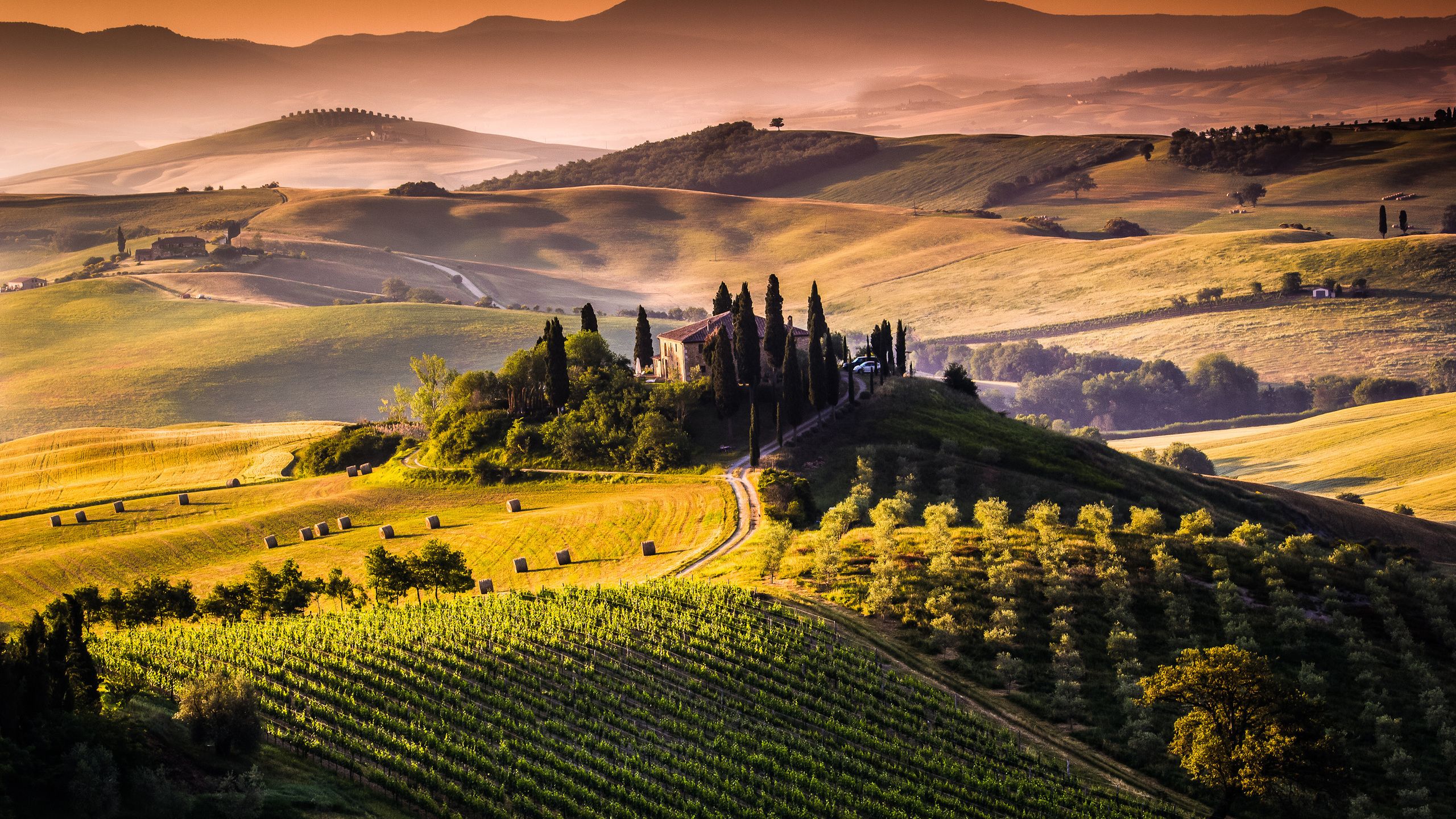 Colline toscane con vigneti, 2560x1440 2K QHD, PC