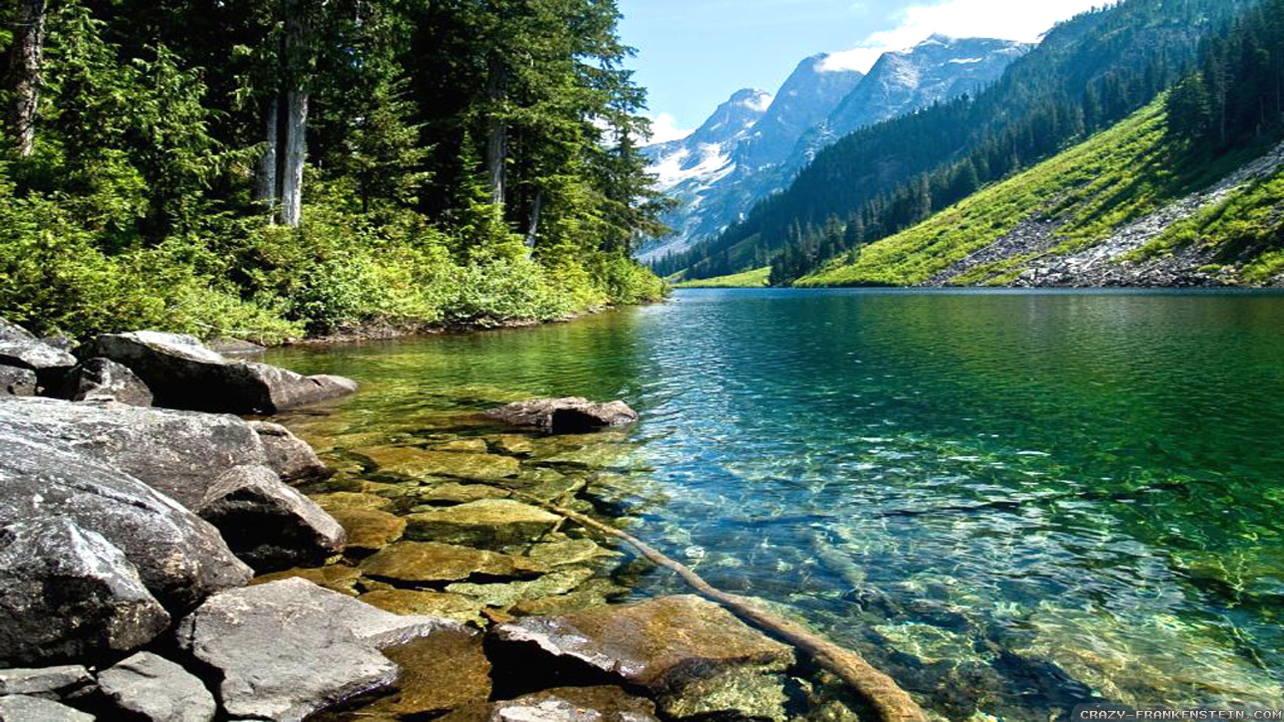 Lago montano con foresta, 2560x1440 2K QHD, PC