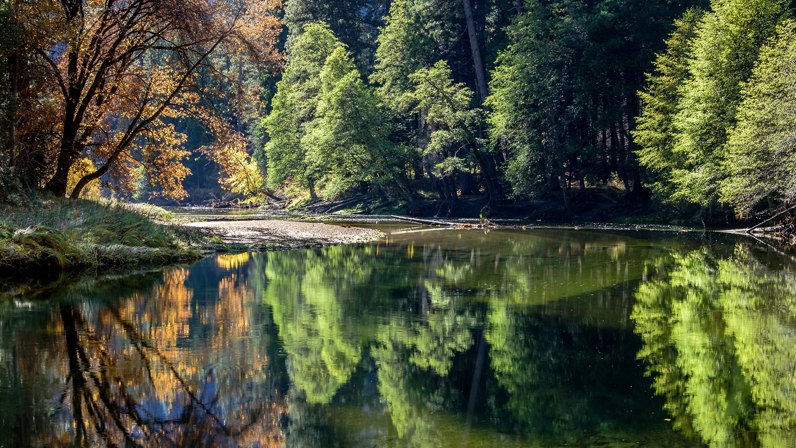 Lago con riflesso alberi autunno, 2560x1440 2K QHD, PC