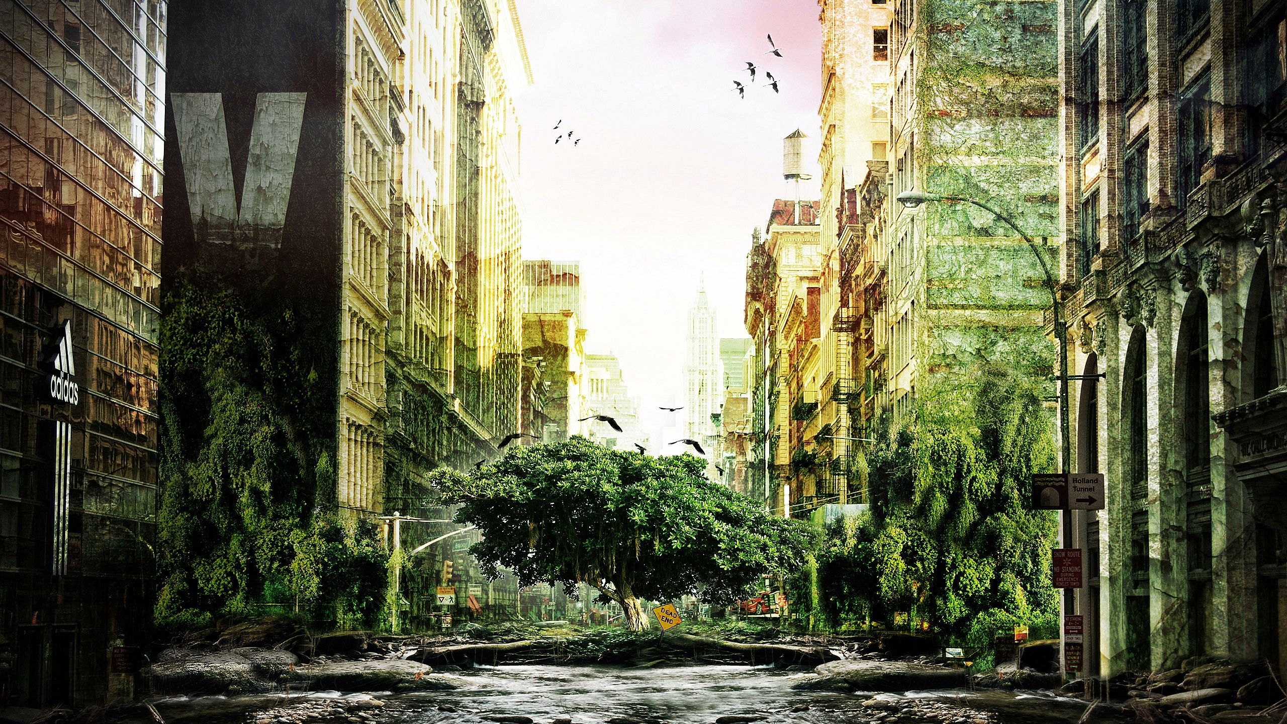 Città abbandonata invasa dalla natura, 2560x1440 QHD, Monitor Gaming