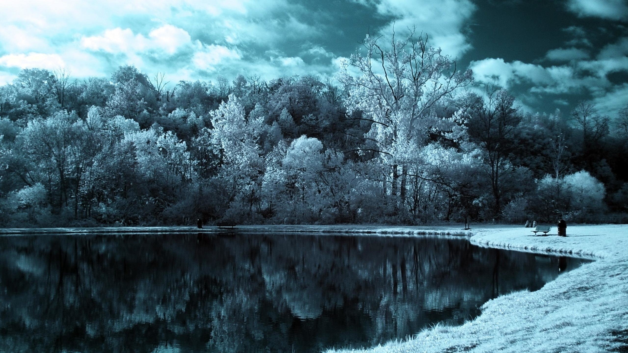Lago con alberi innevati, 2560x1440 2K QHD, PC