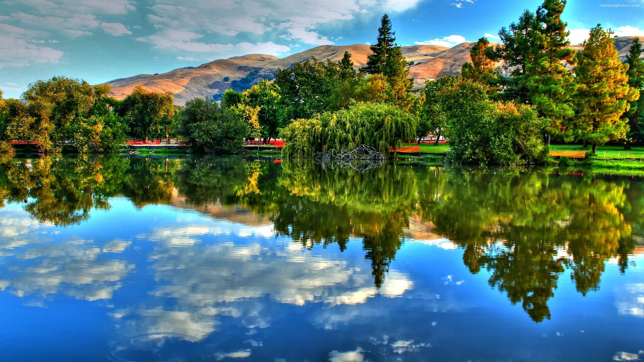 Lago con riflesso montagne alberi, 2560x1440 2K QHD, PC