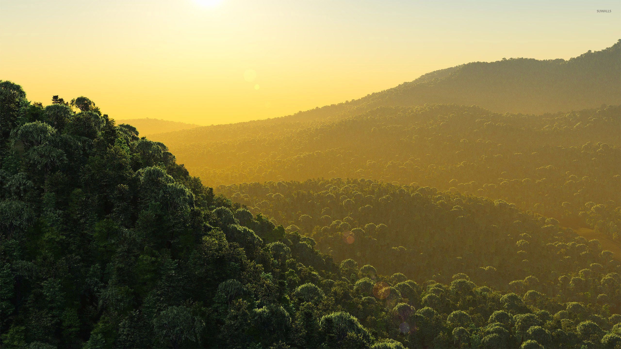 Foresta collinare al tramonto, 2560x1440 QHD, Laptop