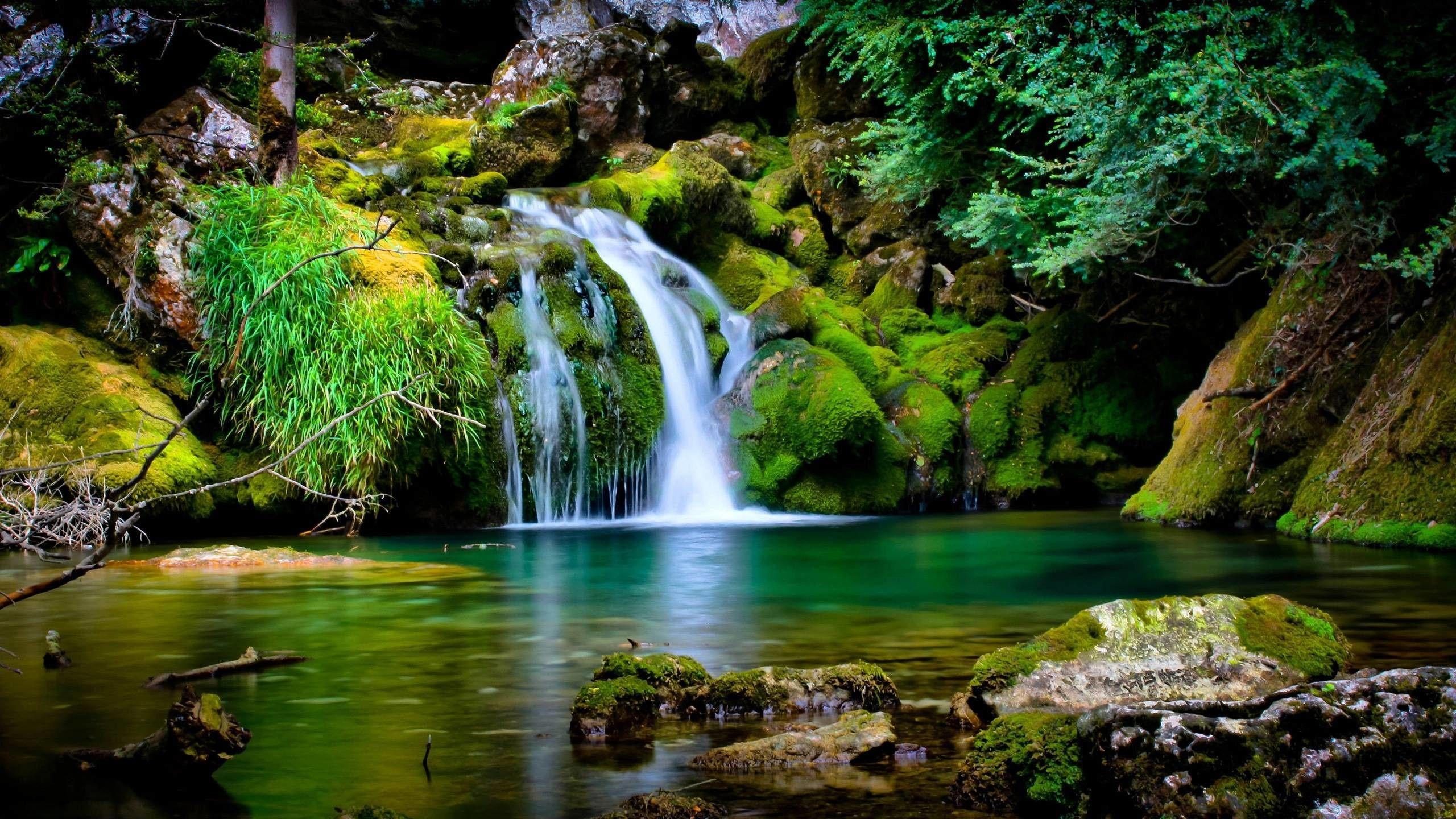 Cascata con muschio verde, 2560x1440 QHD, Laptop