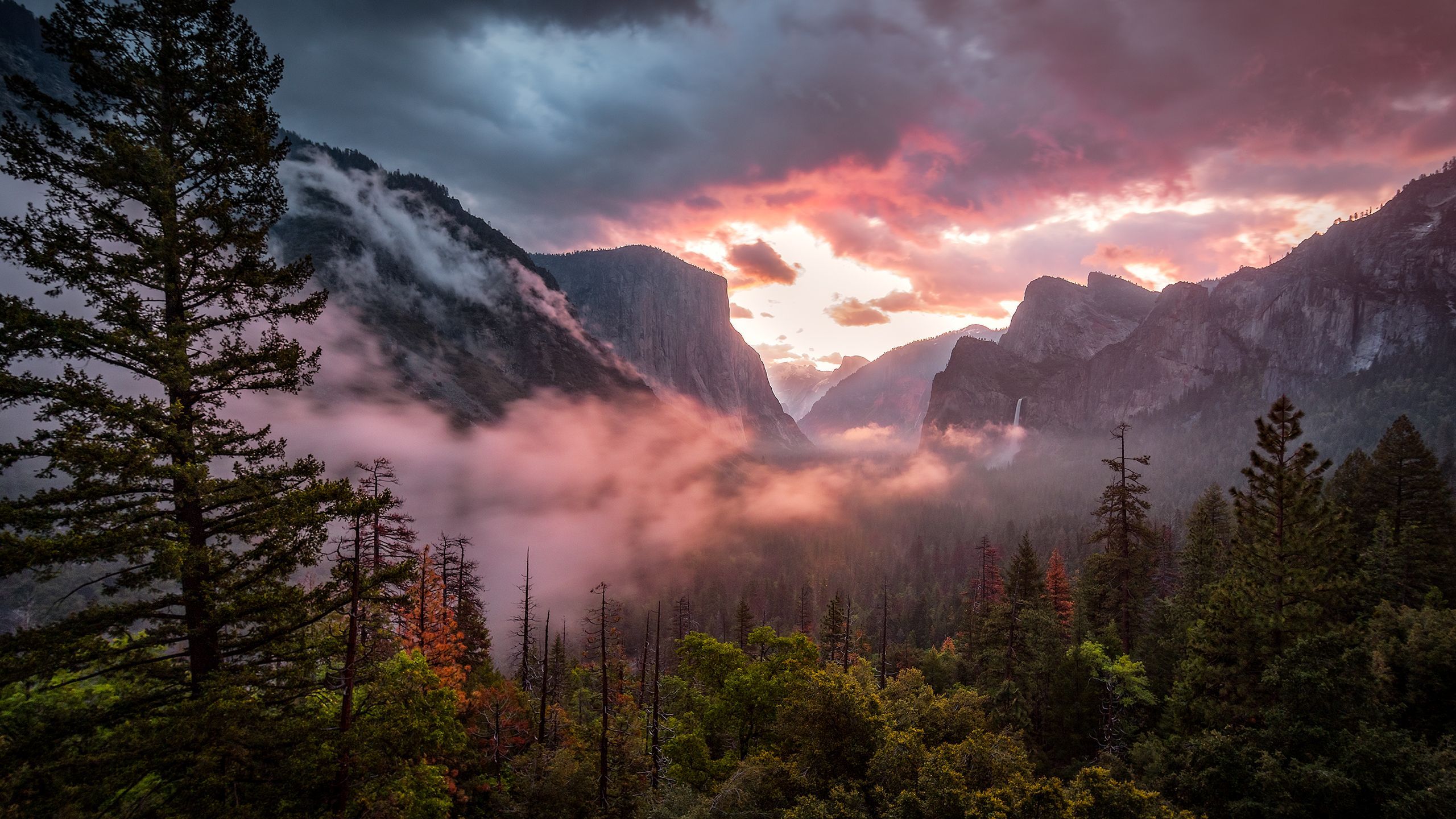 Valle Yosemite tramonto nebbia, 2560x1440 2K QHD, PC