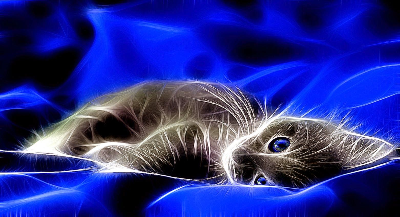 Gatto 3D fractal blu, 1562x850 720p, PC