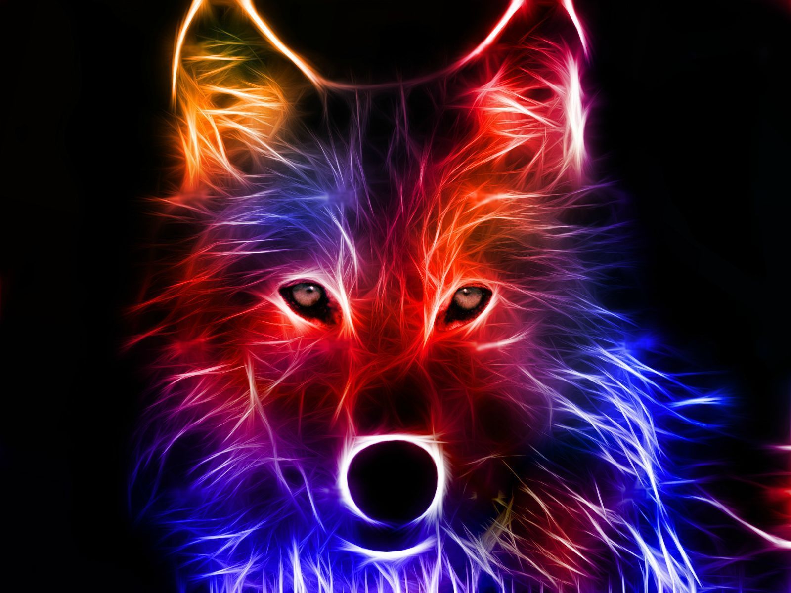 Lupo neon 3D colorato, 1600x1200 HD Ready, Desktop