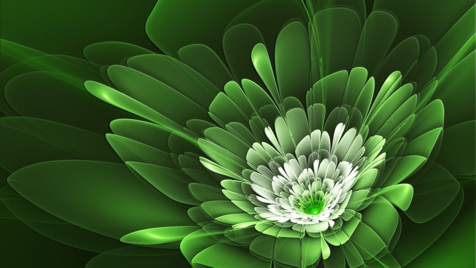 Fiore astratto 3D verde, 1600x900 HD Ready, PC Desktop