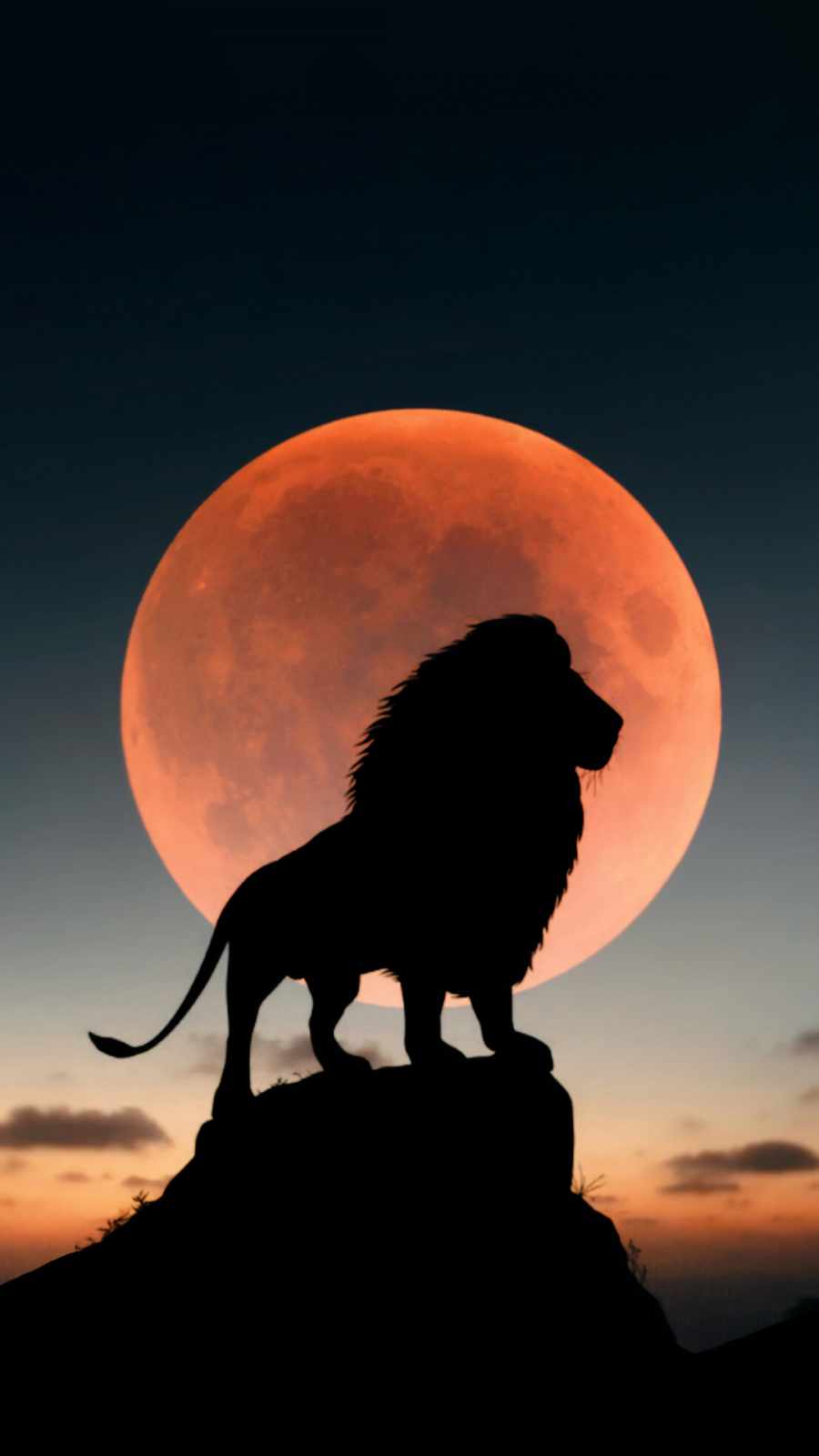 Leone silhouette luna arancione, 900x1600 Verticale, Mobile