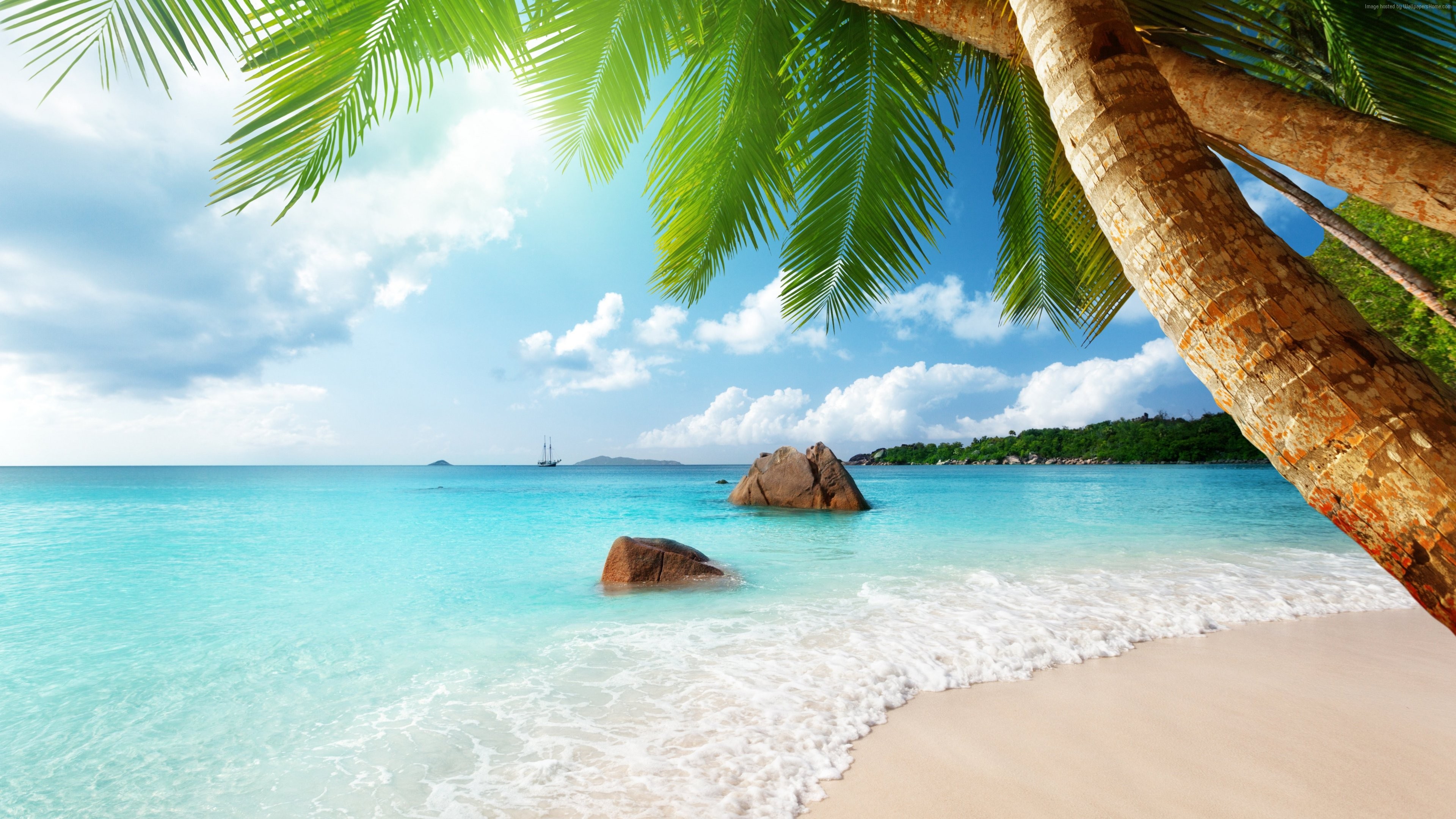 Spiaggia tropicale con palme, 3840x2160 4K Ultra HD, Monitor 4K
