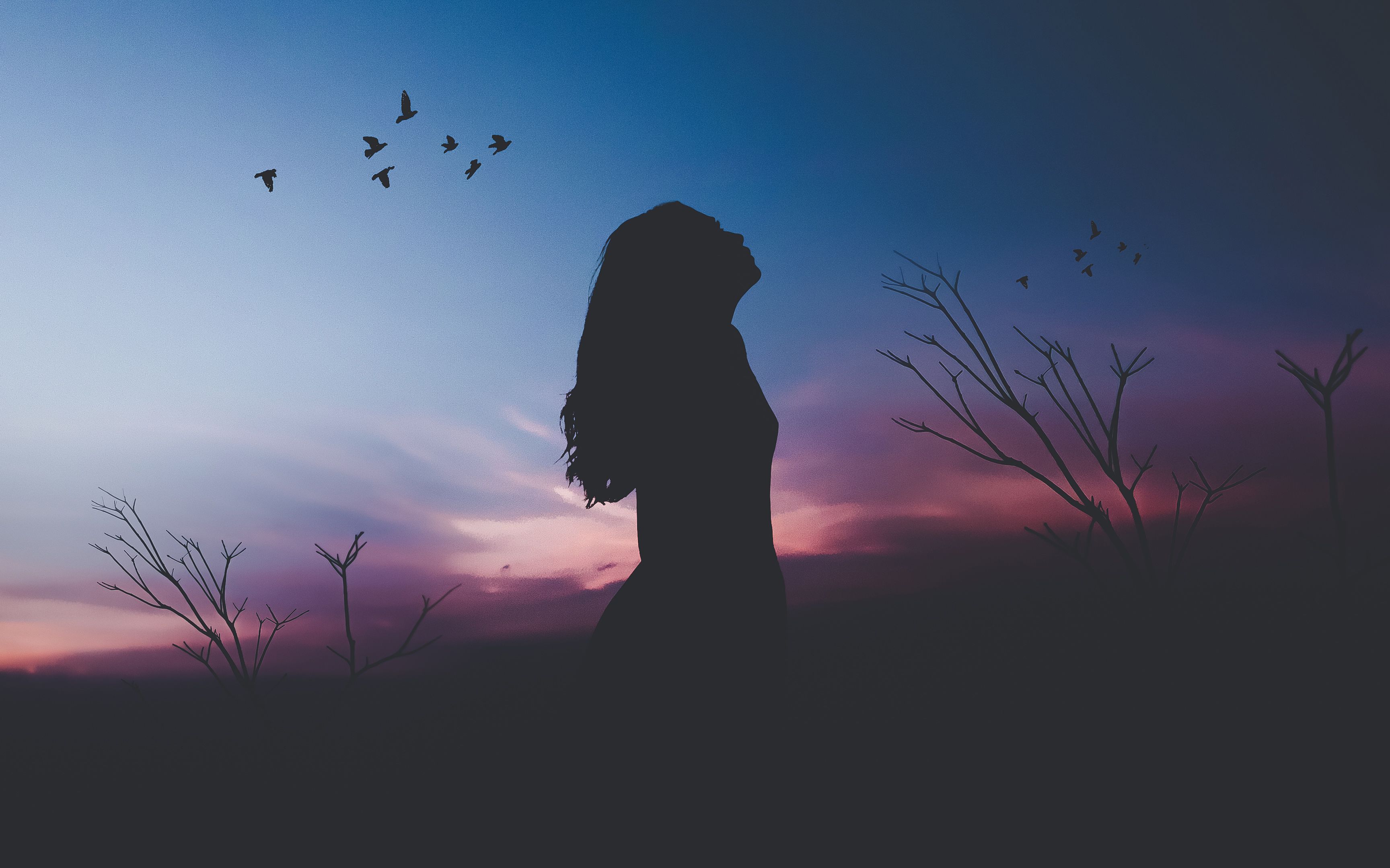 Silhouette donna al tramonto, 3456x2160 2K, Desktop