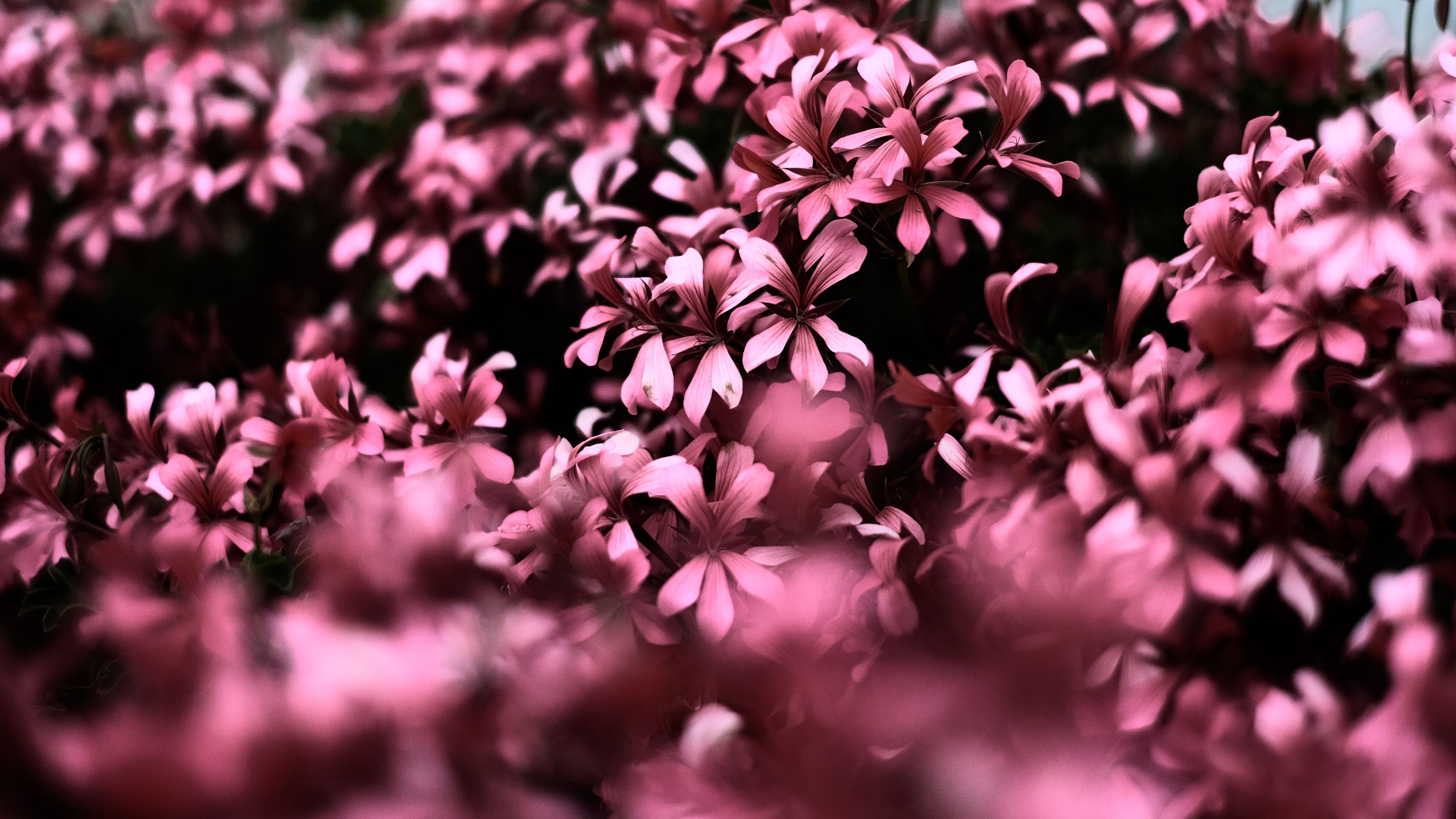 pianeti spaziali con anelli, 2560x1600 2K, Desktop