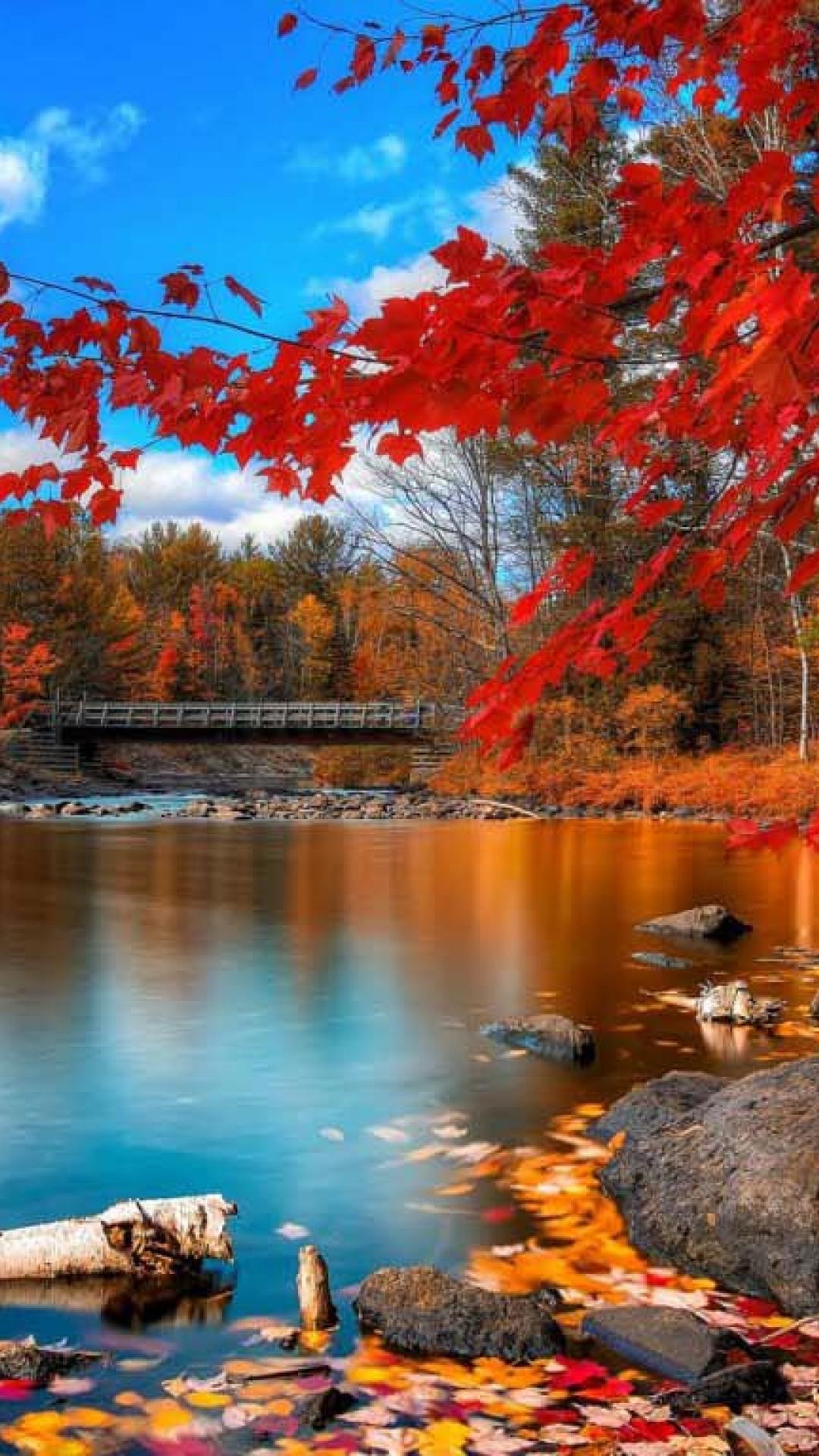 Paesaggio autunnale con ponte, 1080x1920 Full HD Verticale, Samsung Galaxy