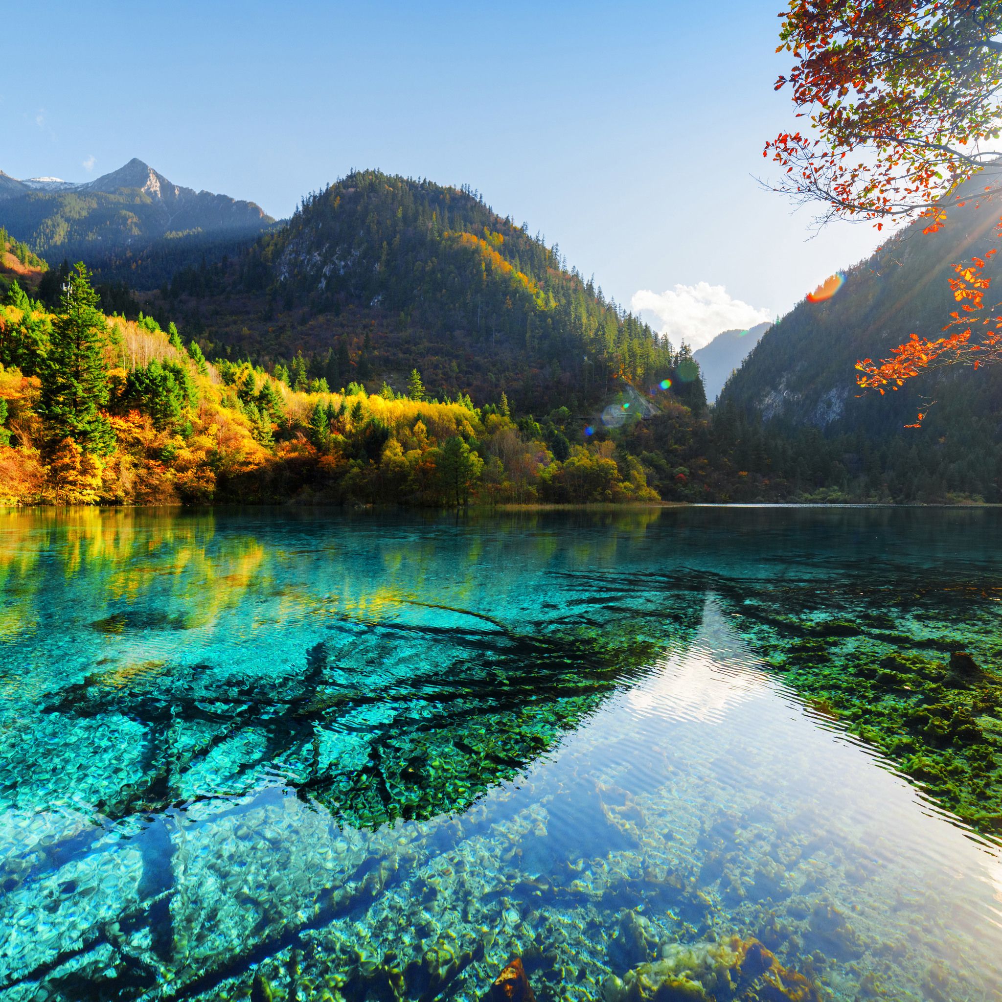 Lago turchese Jiuzhaigou con montagne, 2048x2048 alta risoluzione, PC