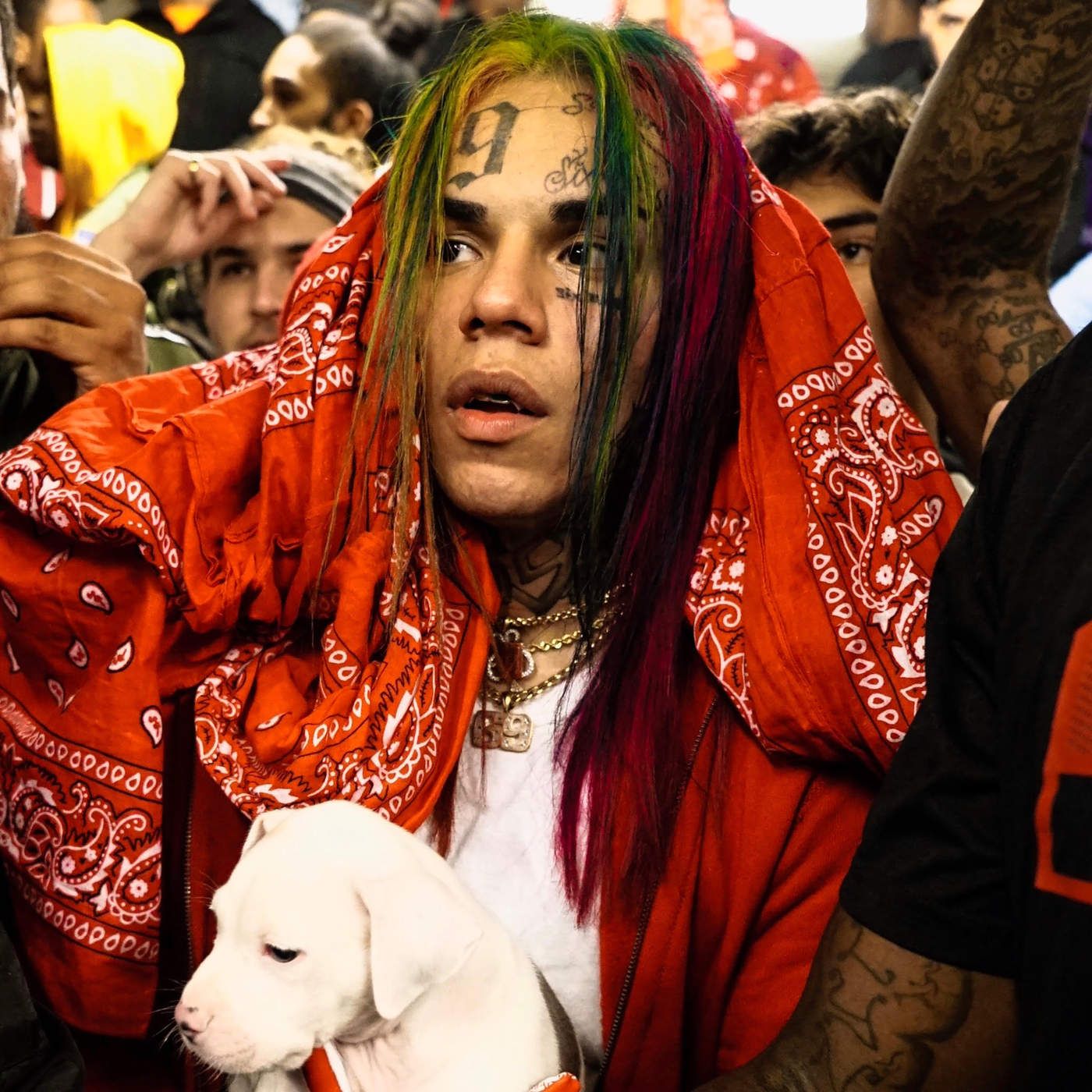 6ix9ine con cane e bandana, 1400x1400 720p, PC