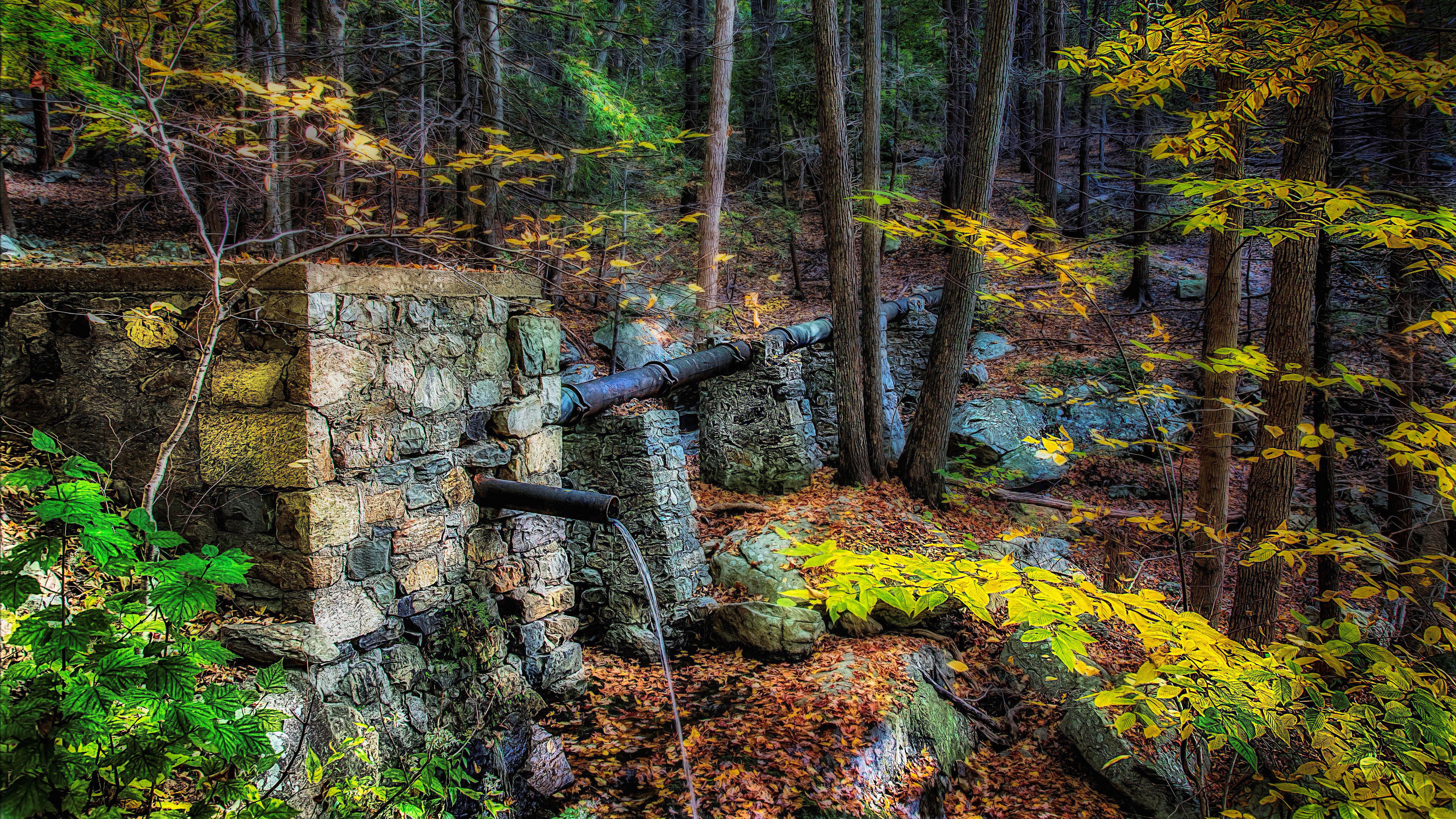 Rovine di pietra nel bosco, 7680x4320 4K Ultra HD, Desktop