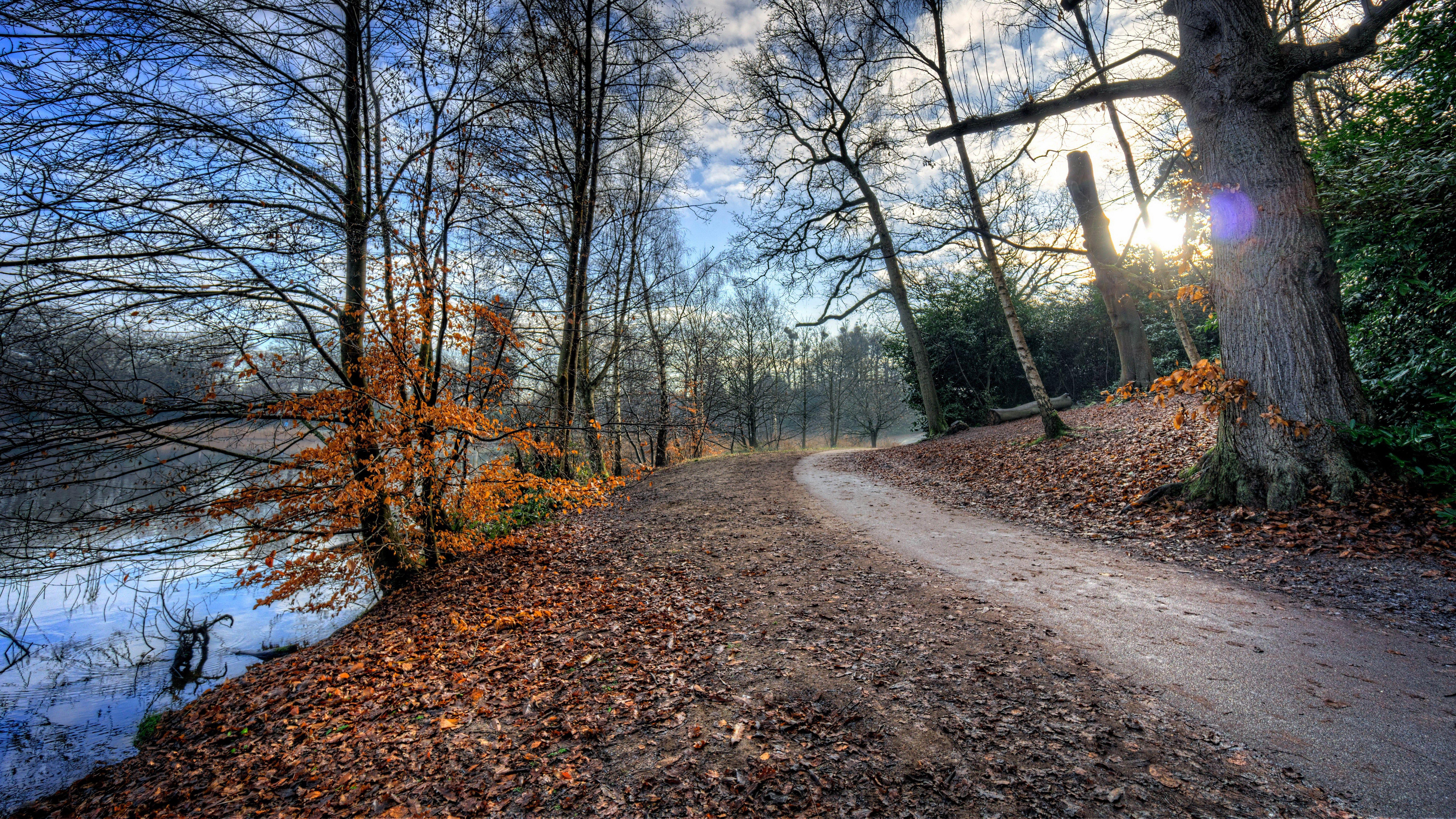 Sentiero autunnale nel bosco, 7680x4320 4K, PC Desktop