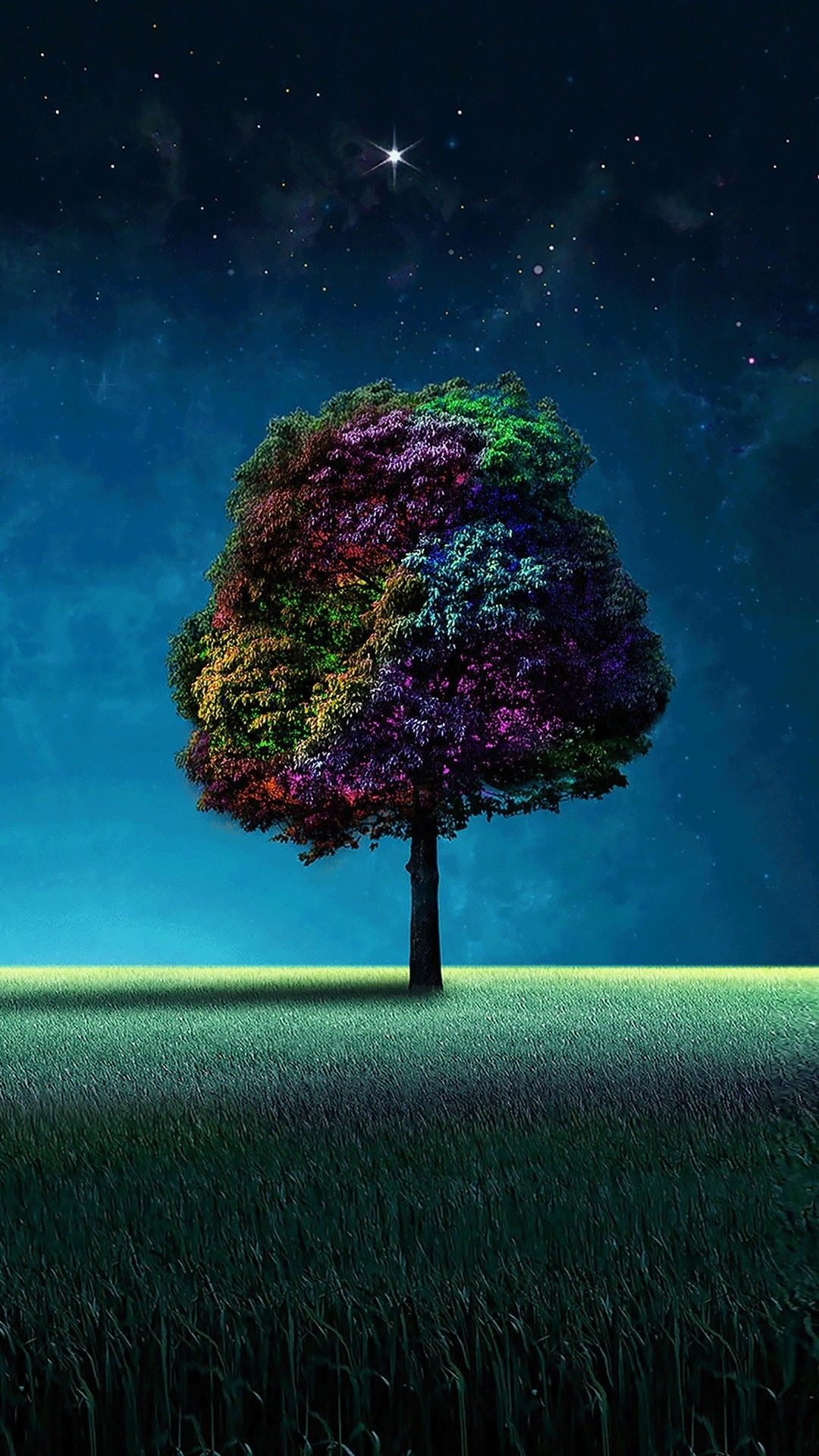 Albero colorato campo notturno, 1080x1920 Full HD Verticale, Samsung Galaxy