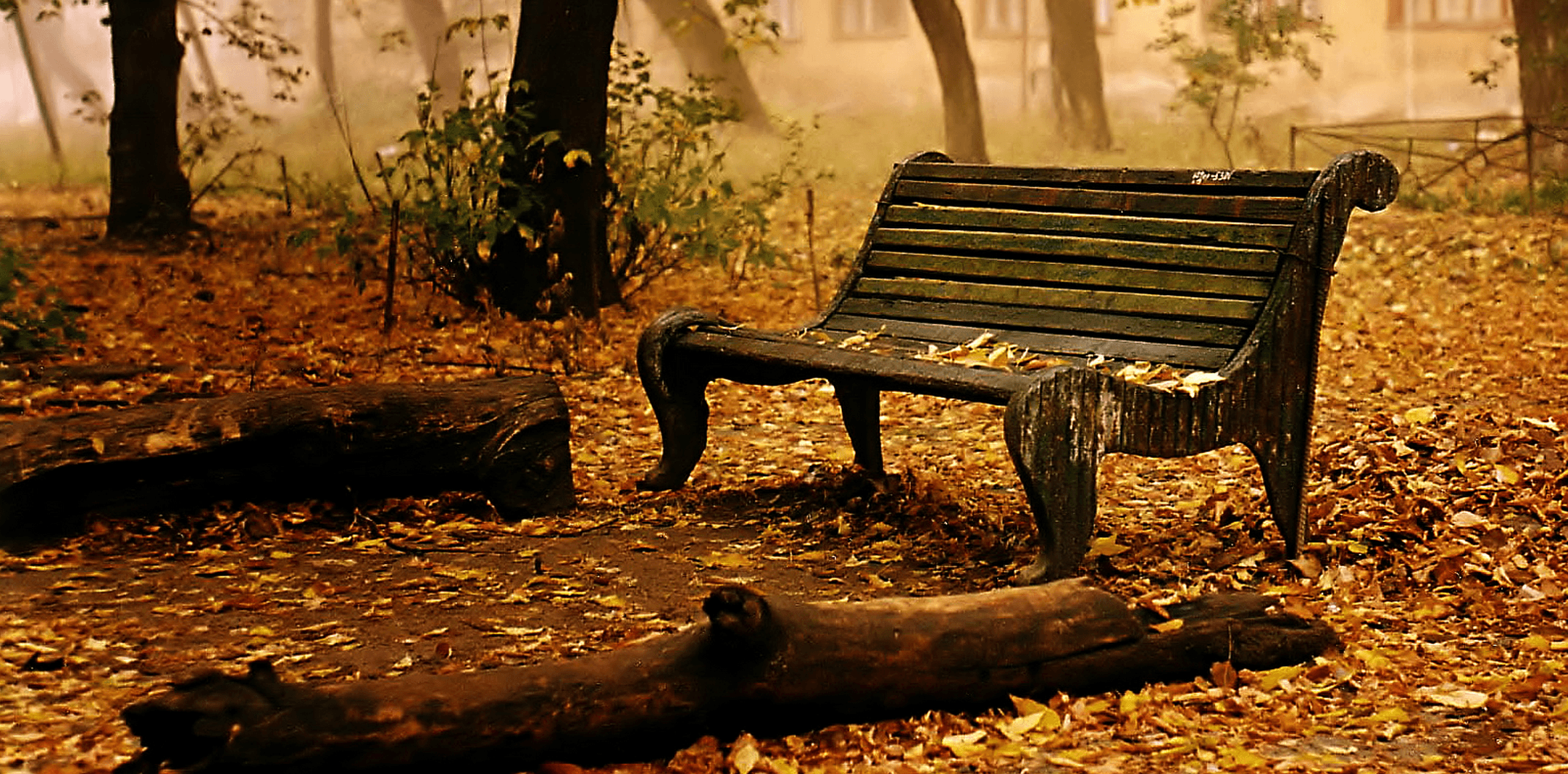 Panchina parco autunnale foglie, 2164x1068 Hi-Res, PC