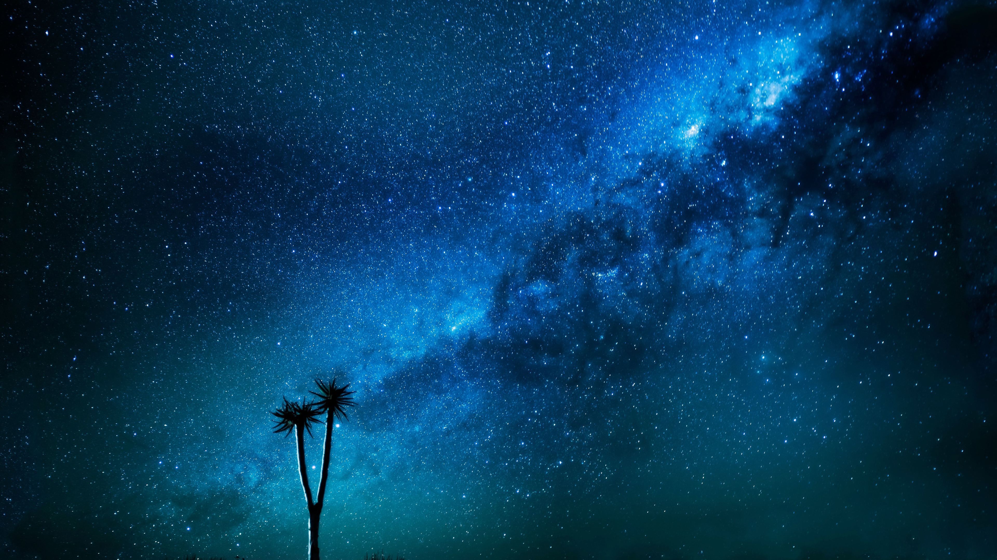 Via Lattea con palme silhouette, 3840x2160 Ultra HD, 4K TV