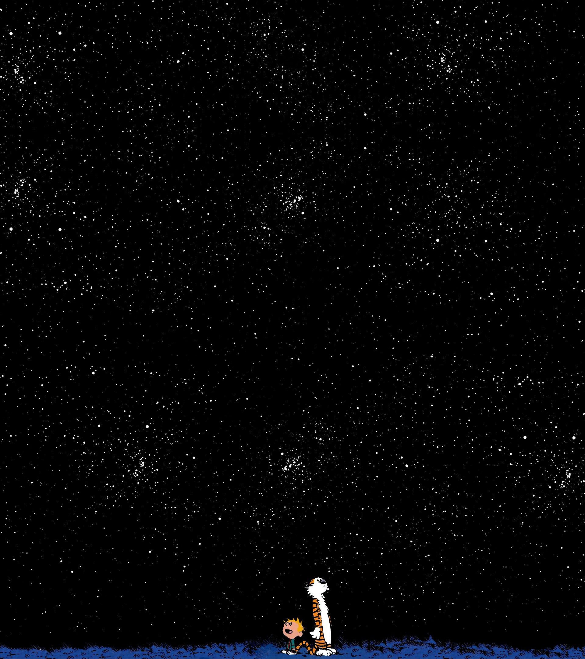 Calvin e Hobbes sotto stelle, 1920x2160 Full HD Verticale, Smartphone