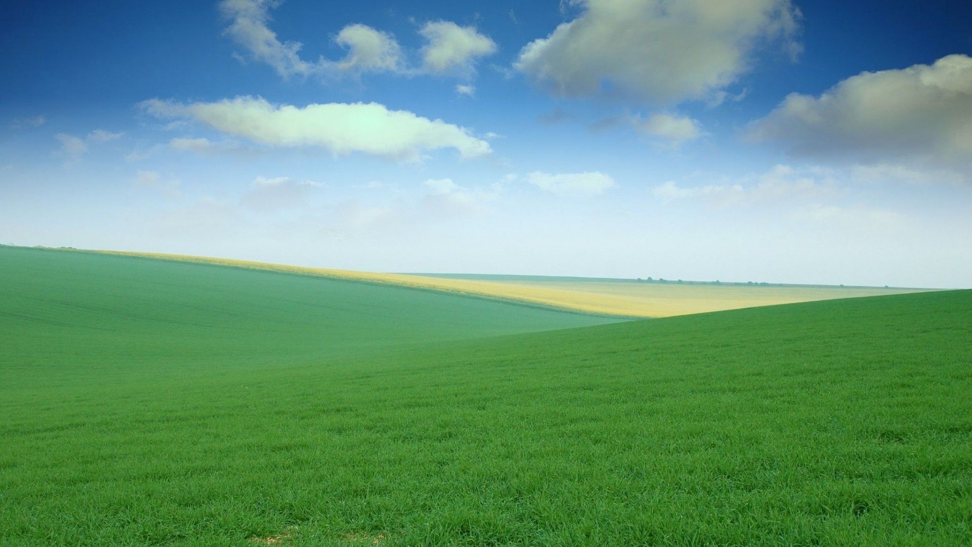 Campo verde e cielo azzurro, 1920x1080 Full HD 1080p, PC
