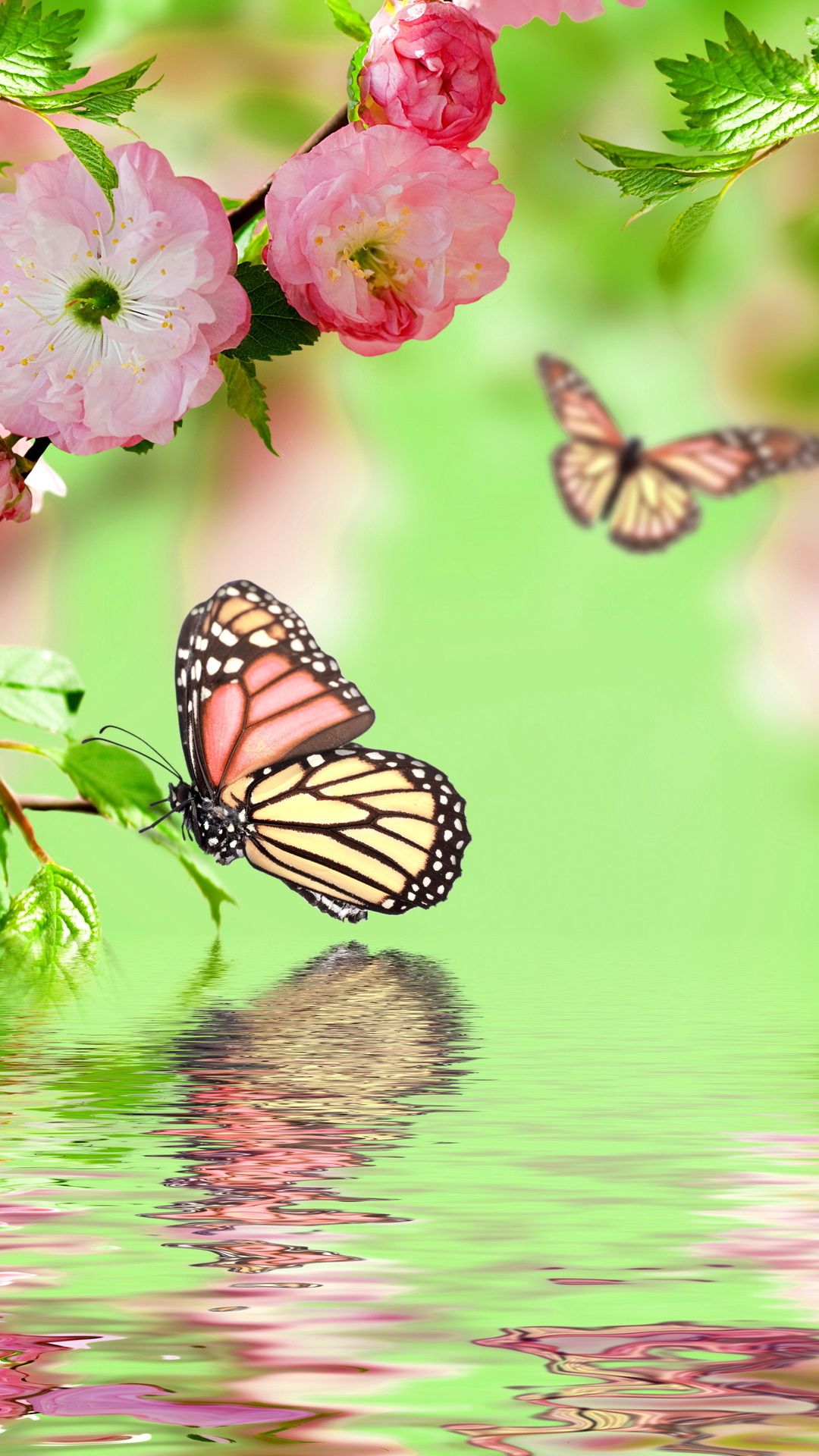 Farfalle fiori rosa riflesso acqua, 1080x1920 Full HD Verticale, Smartphone