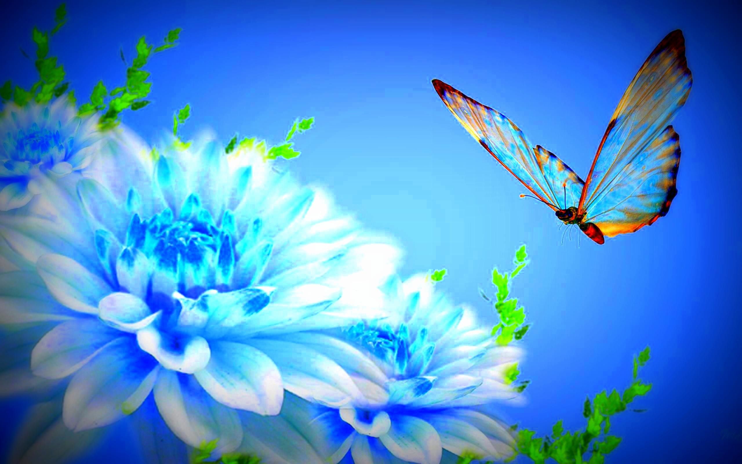 Farfalla blu e fiori, 2560x1600 2K+, PC