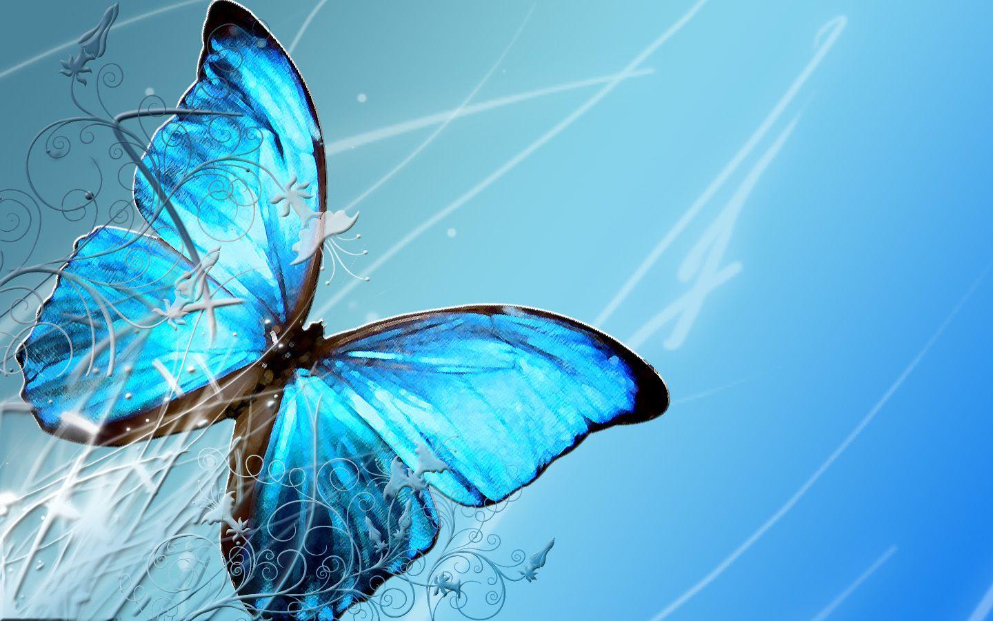 Farfalla blu astratta, 1440x900 HD, Desktop