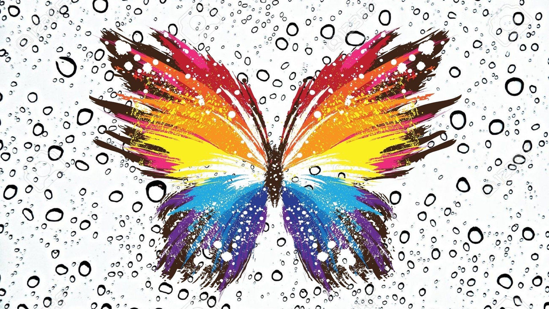 Farfalla colorata con gocce d'acqua, 1920x1080 Full HD 1080p, PC