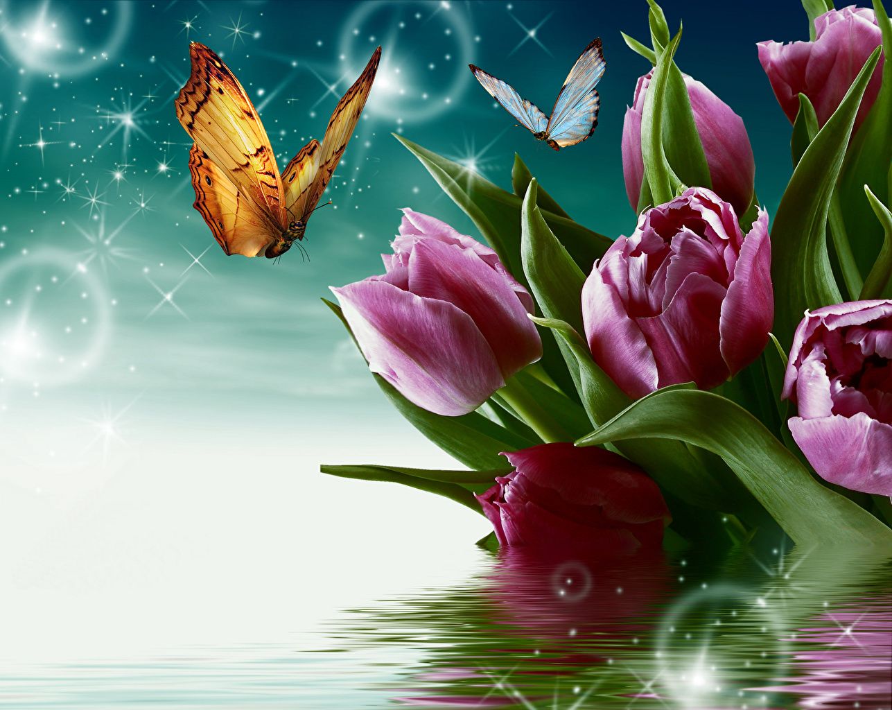 Farfalle e tulipani rosa sull'acqua, 1287x1024 HD, Desktop