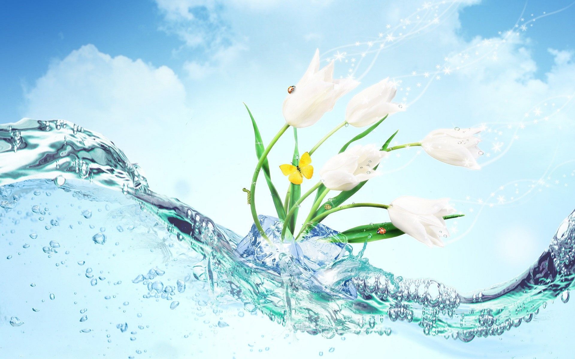 Tulipani bianchi con farfalla nell'acqua, 1920x1200 Full HD+, PC Desktop