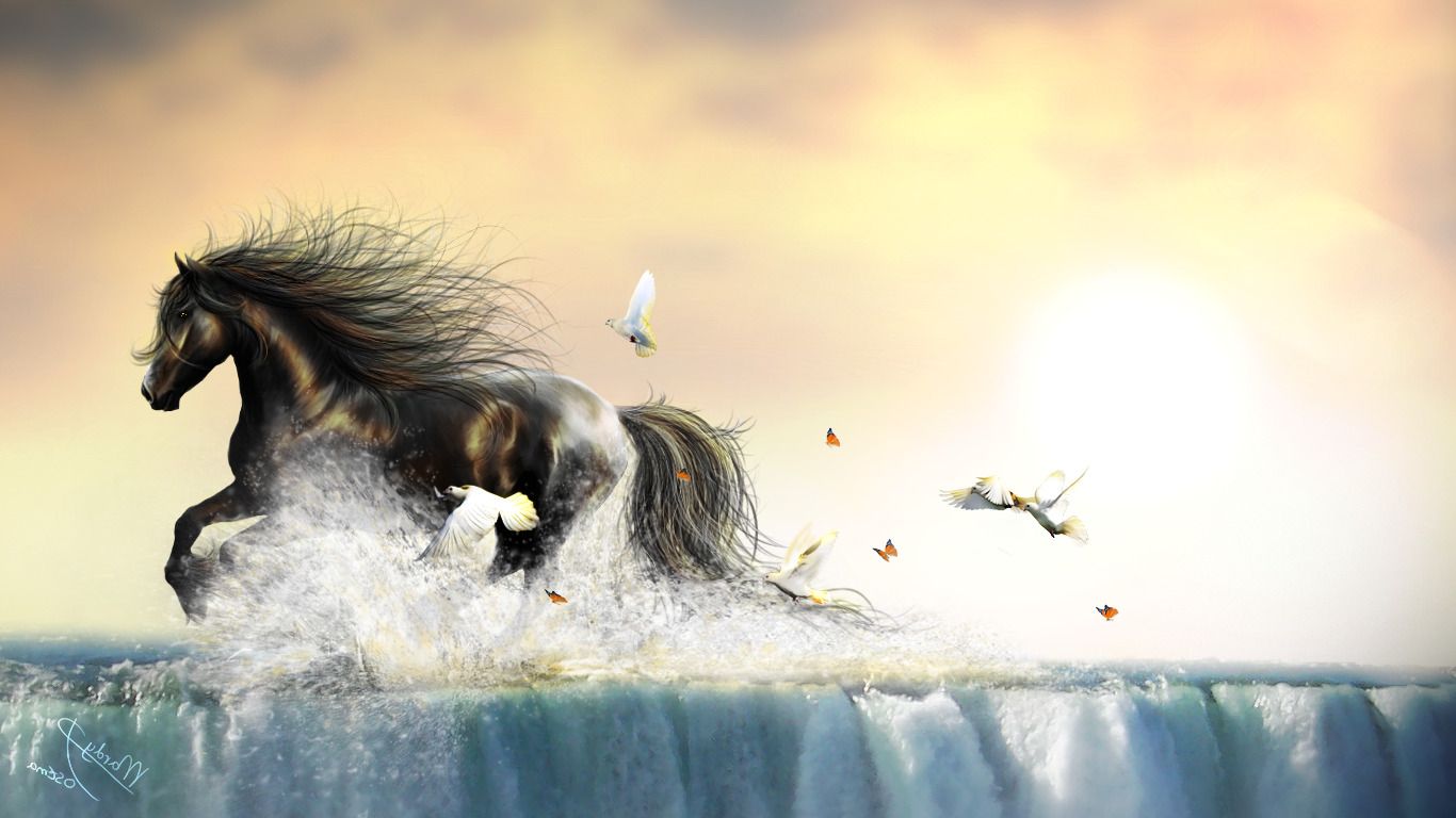 Cavallo nero acqua farfalle, 1366x768 HD, Desktop