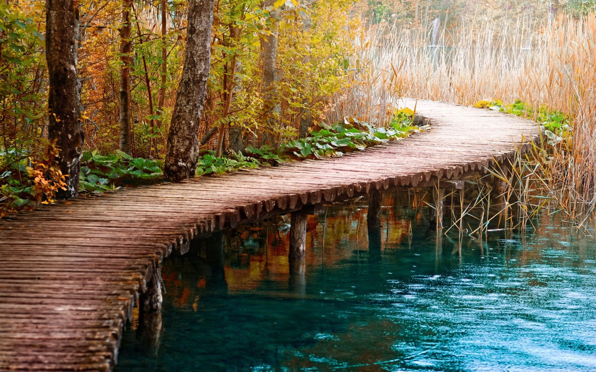 Passerella di legno su lago, 1920x1200 Full HD+ WUXGA, Desktop