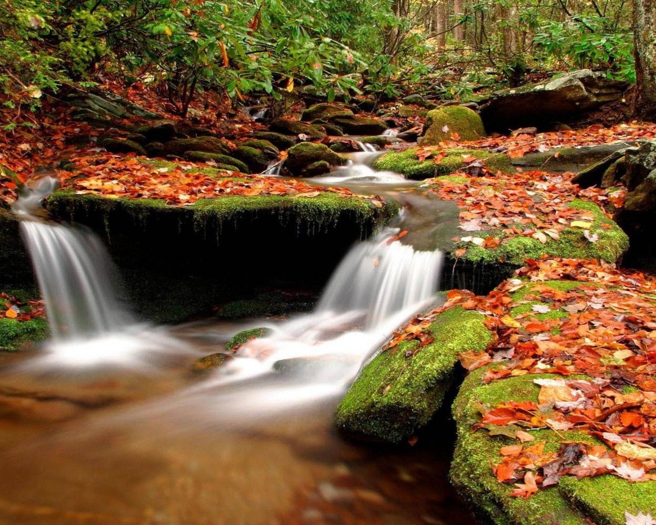 Cascata autunnale nel bosco, 1280x1024 720p, PC