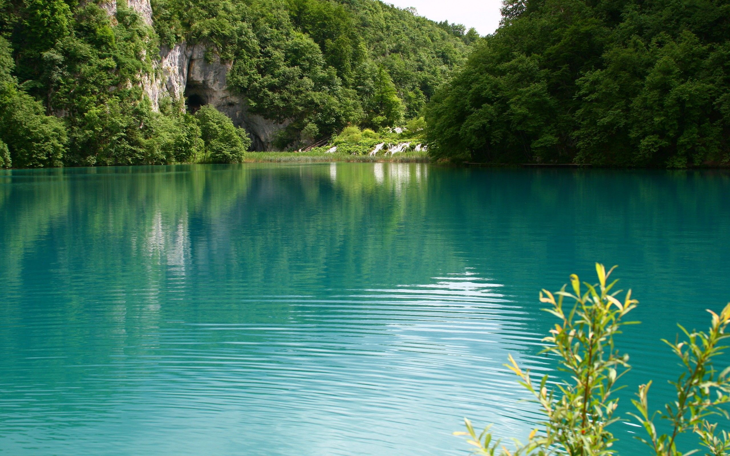 Lago turchese e foresta, 2560x1600 2K+, Desktop