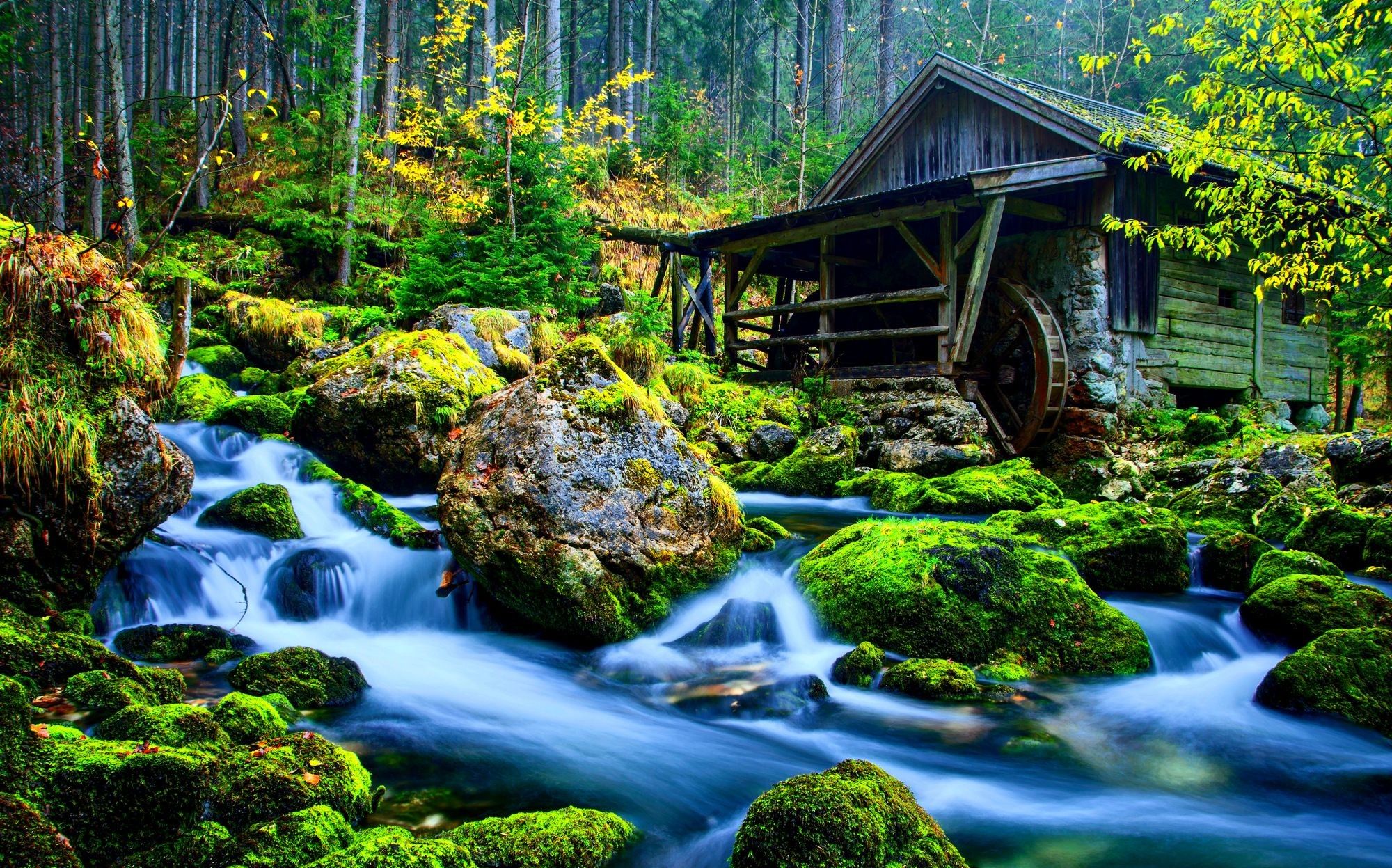 Mulino ad acqua nel bosco, 2000x1247 2K, Desktop