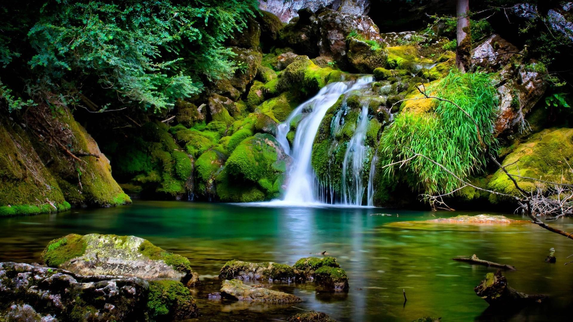 Cascata verde nella foresta, 1920x1080 Full HD 1080p, PC Desktop